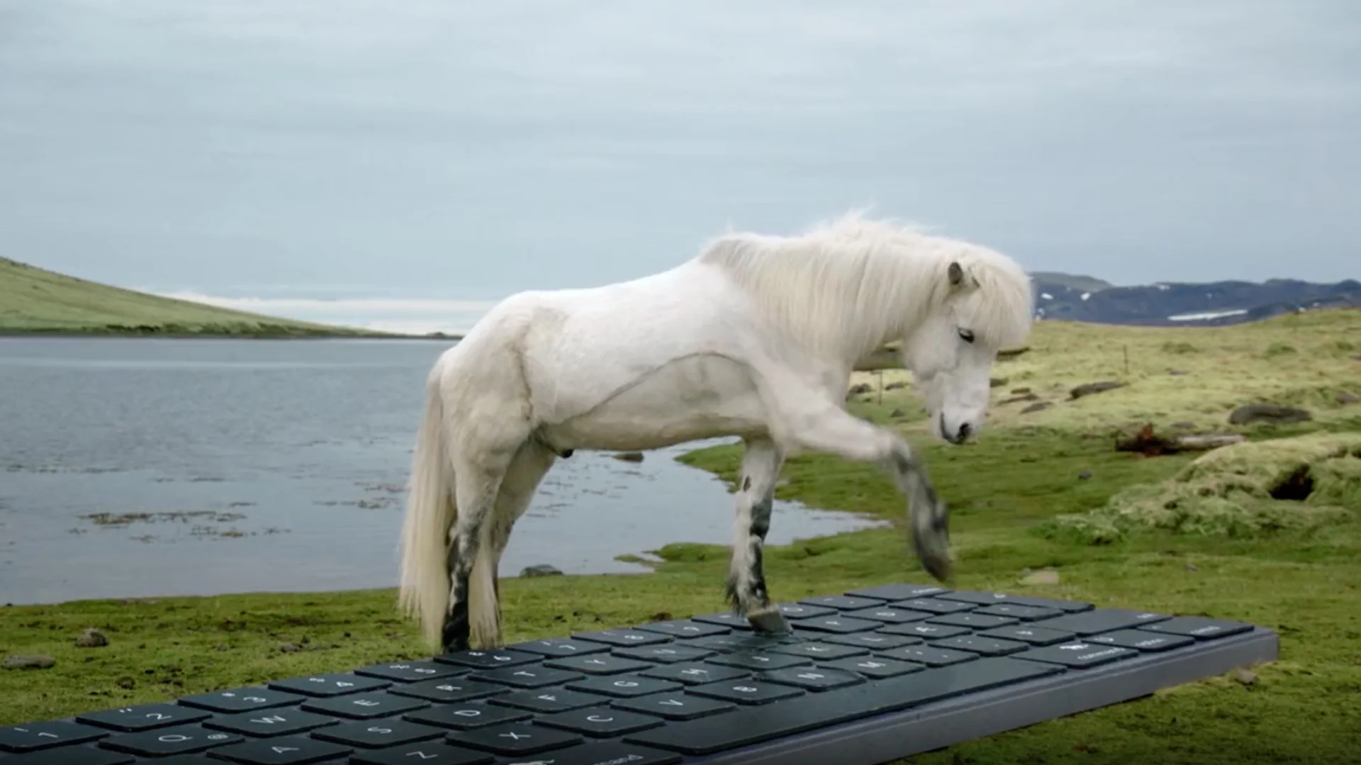 fastcompany.com - John Kell - Escape the tyranny of AI notetakers and let these Icelandic knitters transcribe your meeting