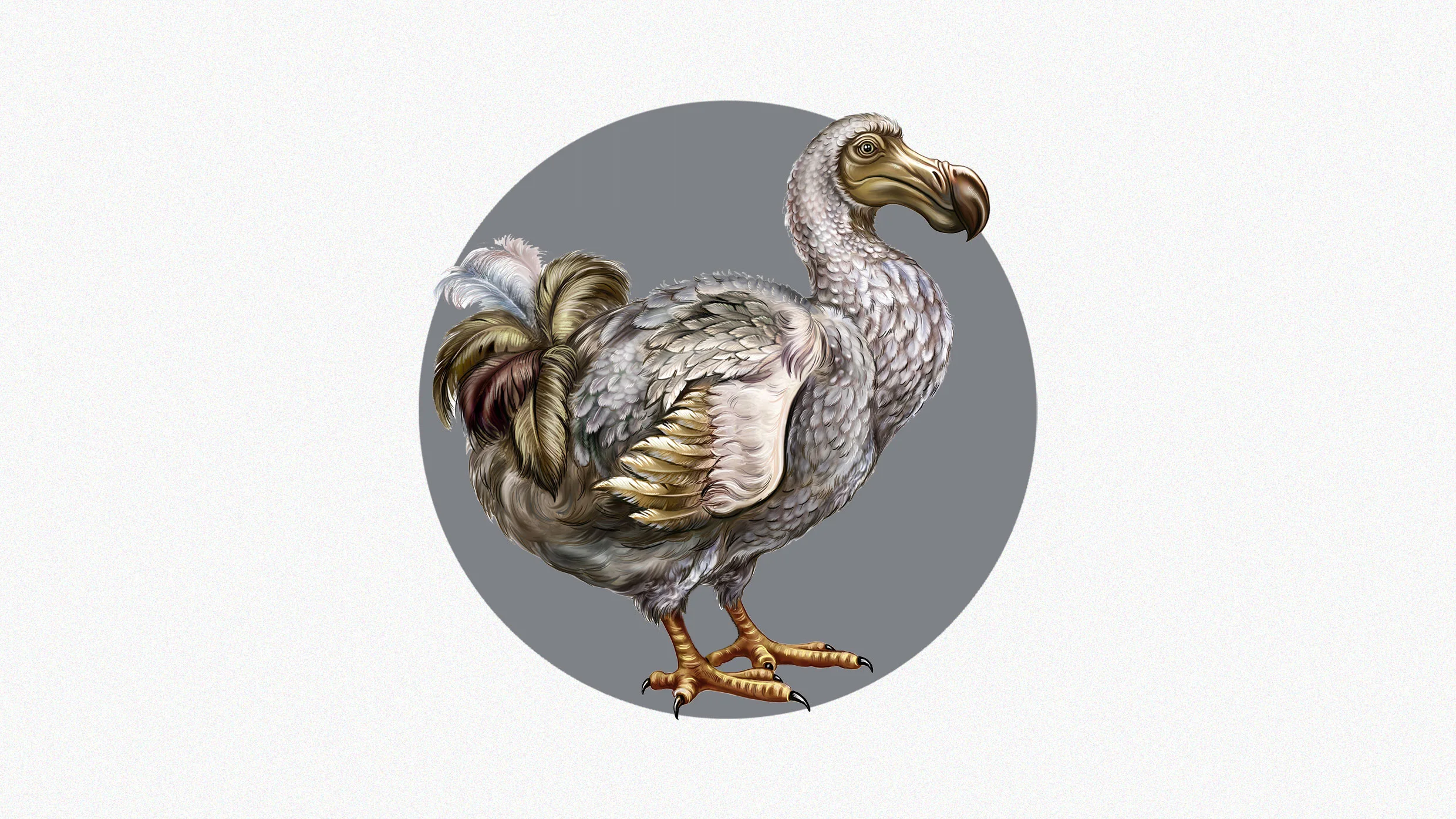 fastcompany.com - Rebecca Heilweil - Colossal has take another big step toward bringing back the Dodo
