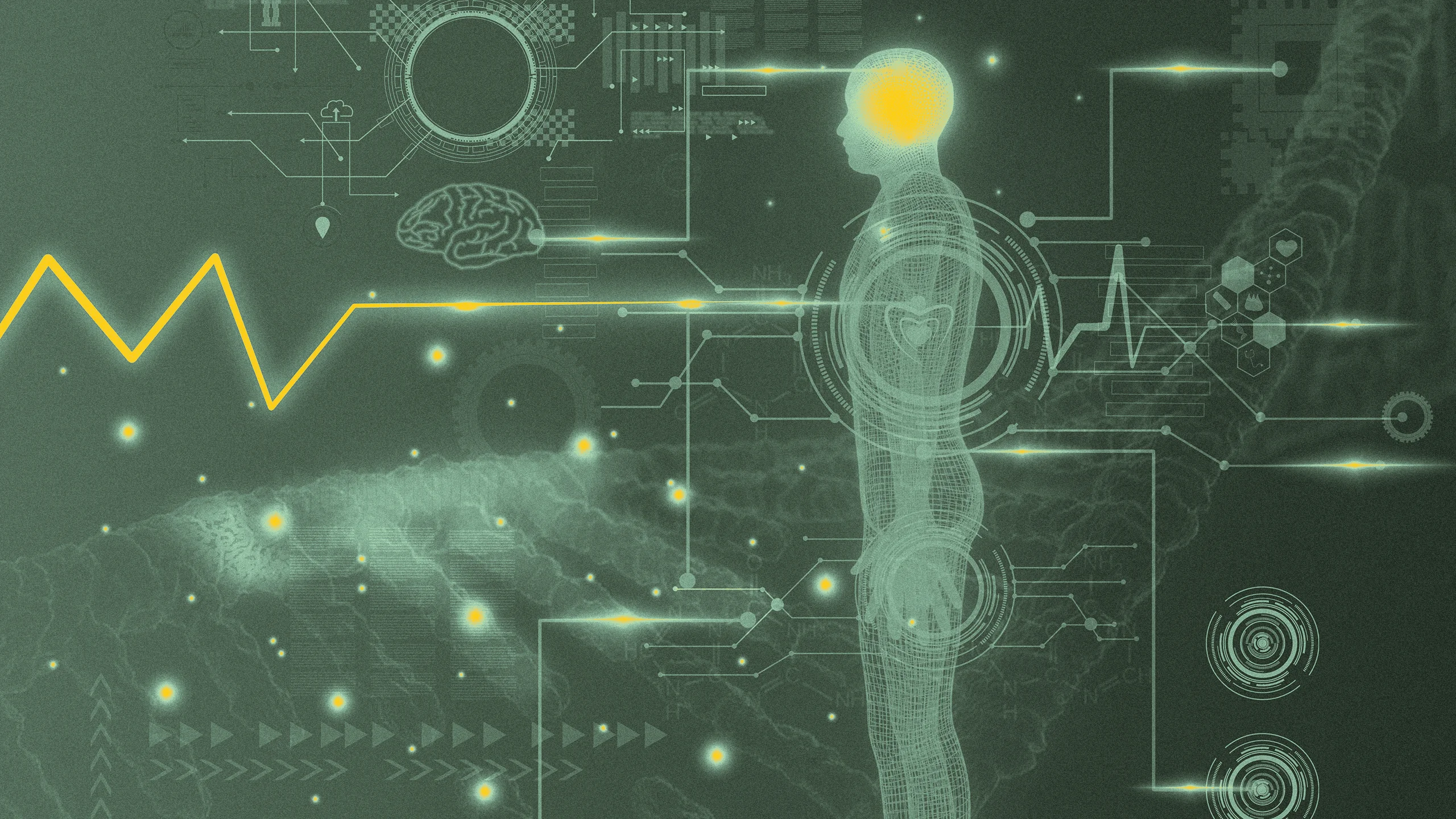 fastcompany.com - Stephen Straus - Handwashing changed medicine. AI could too, if hospitals stop treating it like traditional software