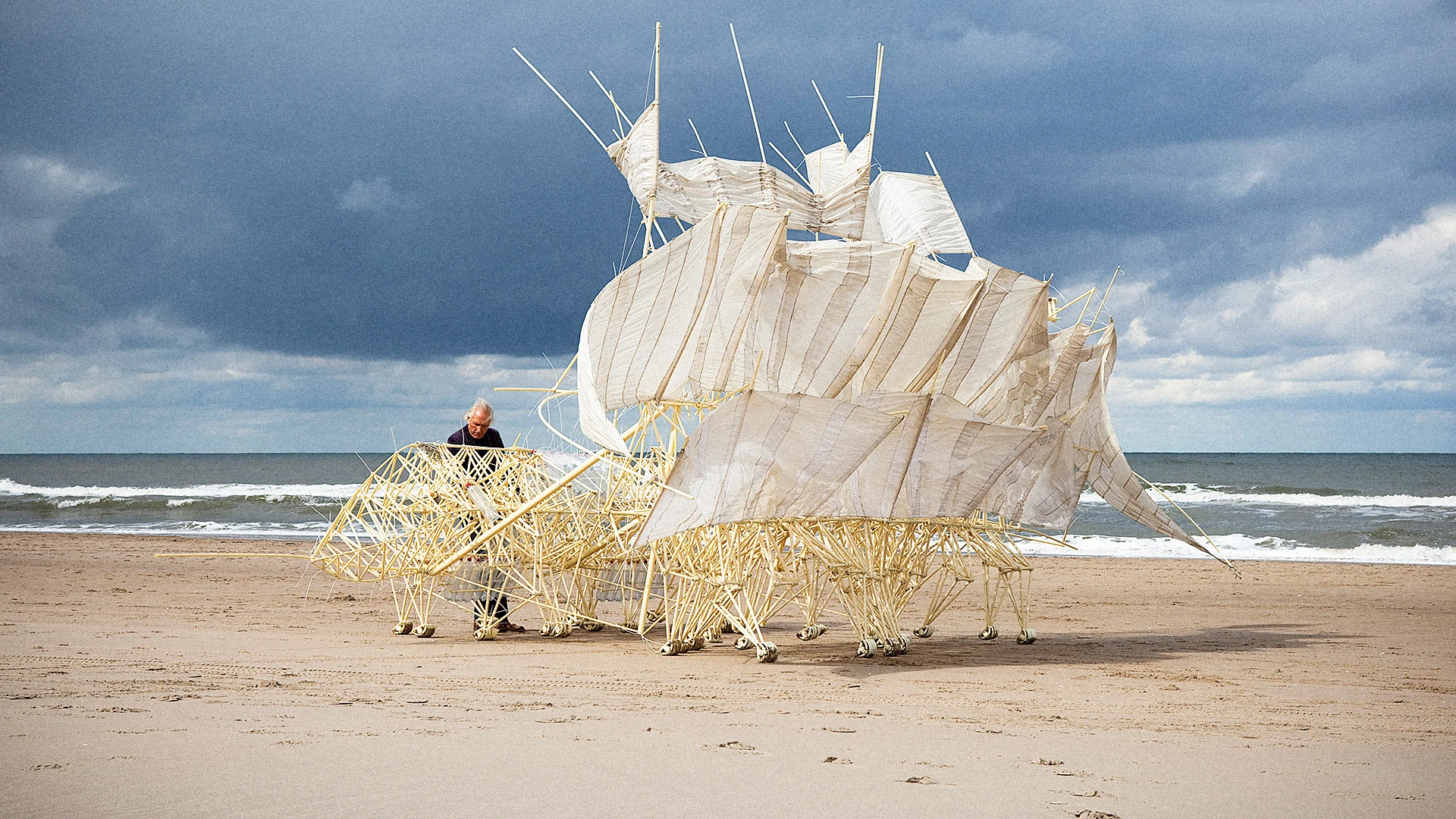 Strandbeest テオ・ヤンセン THEO JANSEN The Artist Who Engineered A Species - Fast Company