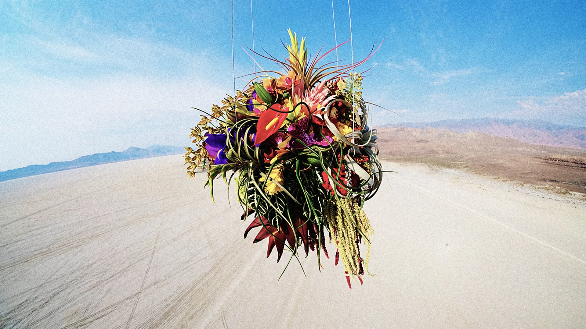 The Lush Art Of Azuma Makoto, Who Launched Flowers Into Space