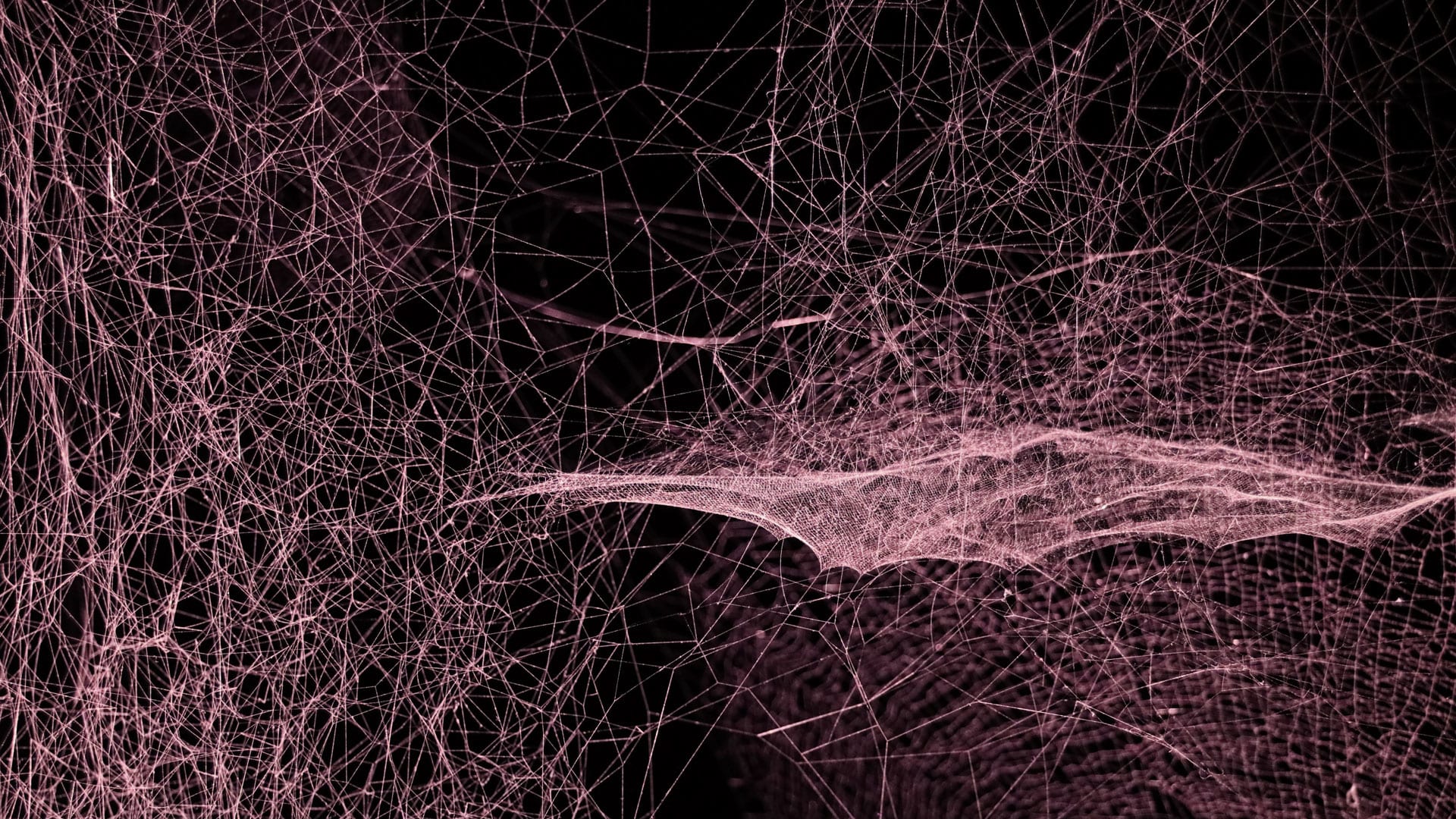 Cash-strapped white supremacists are turning to cryptocurrency and  crowdfunding - Fast Company