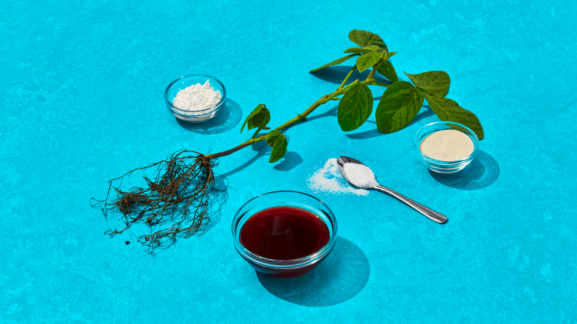 Inside the lab where Impossible Foods makes its plant-based