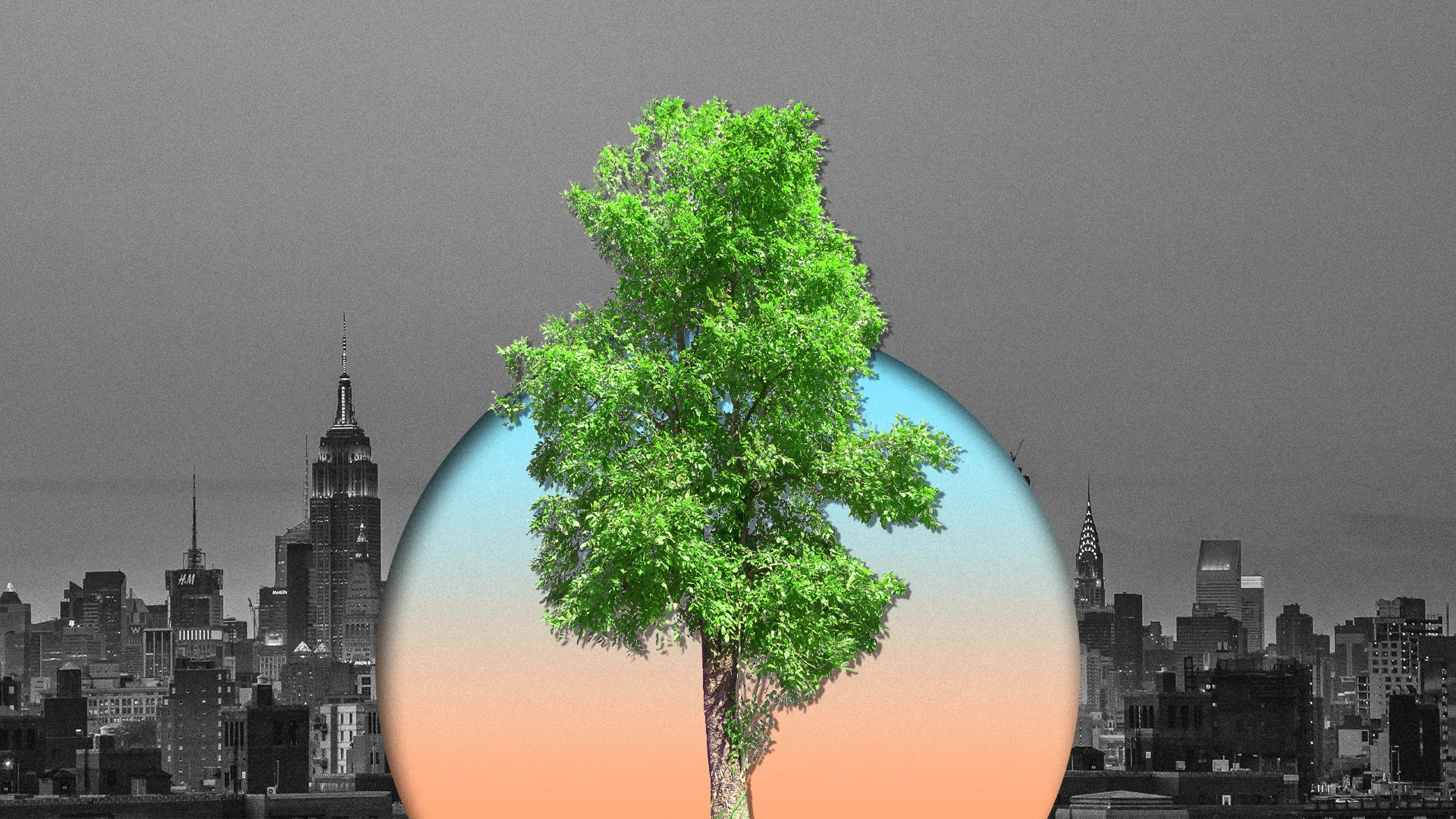 How a 19th-century doctor saved New York-by planting trees - Fast Company