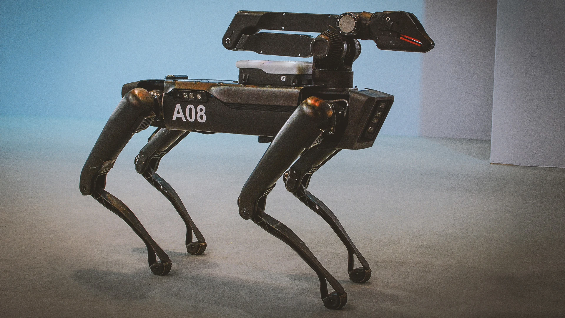 boston dynamics military robot dog