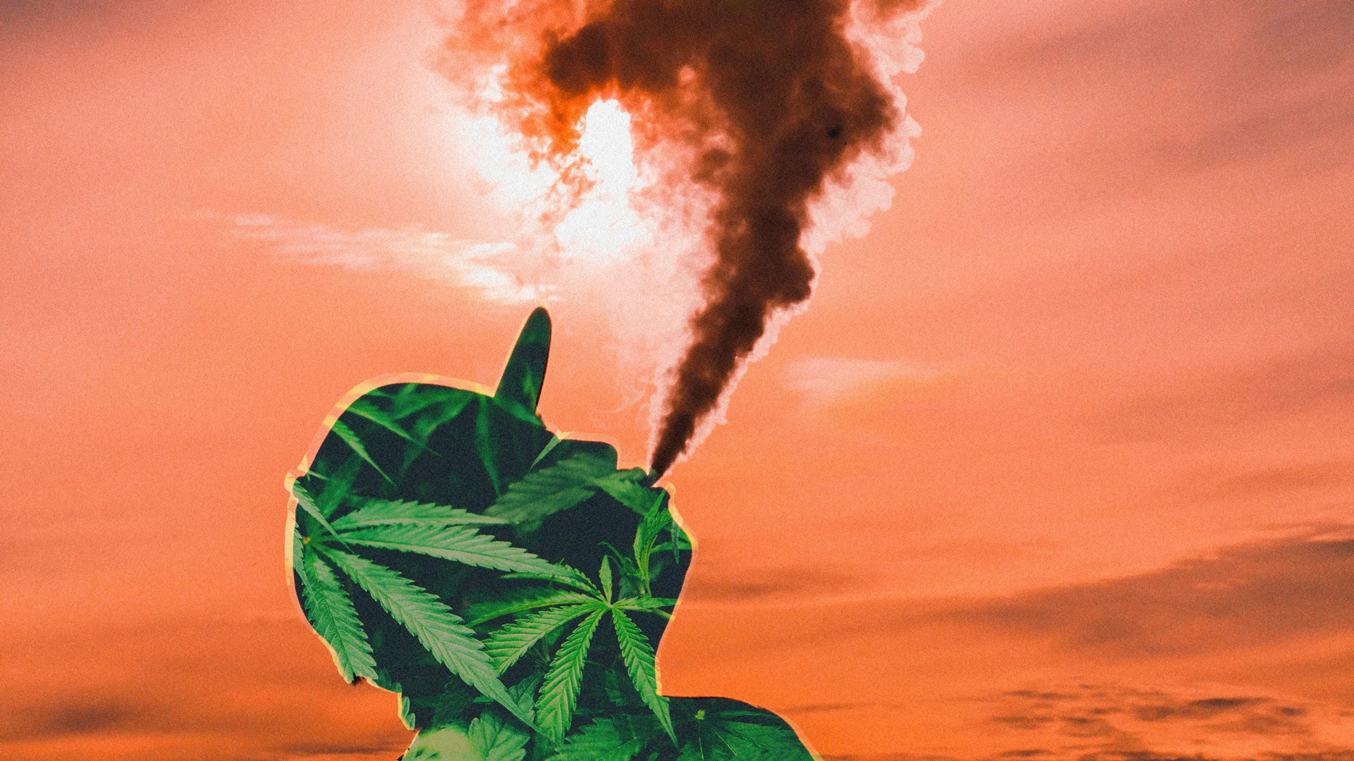 Despite the threat of bans, vape companies are doing surprisingly well