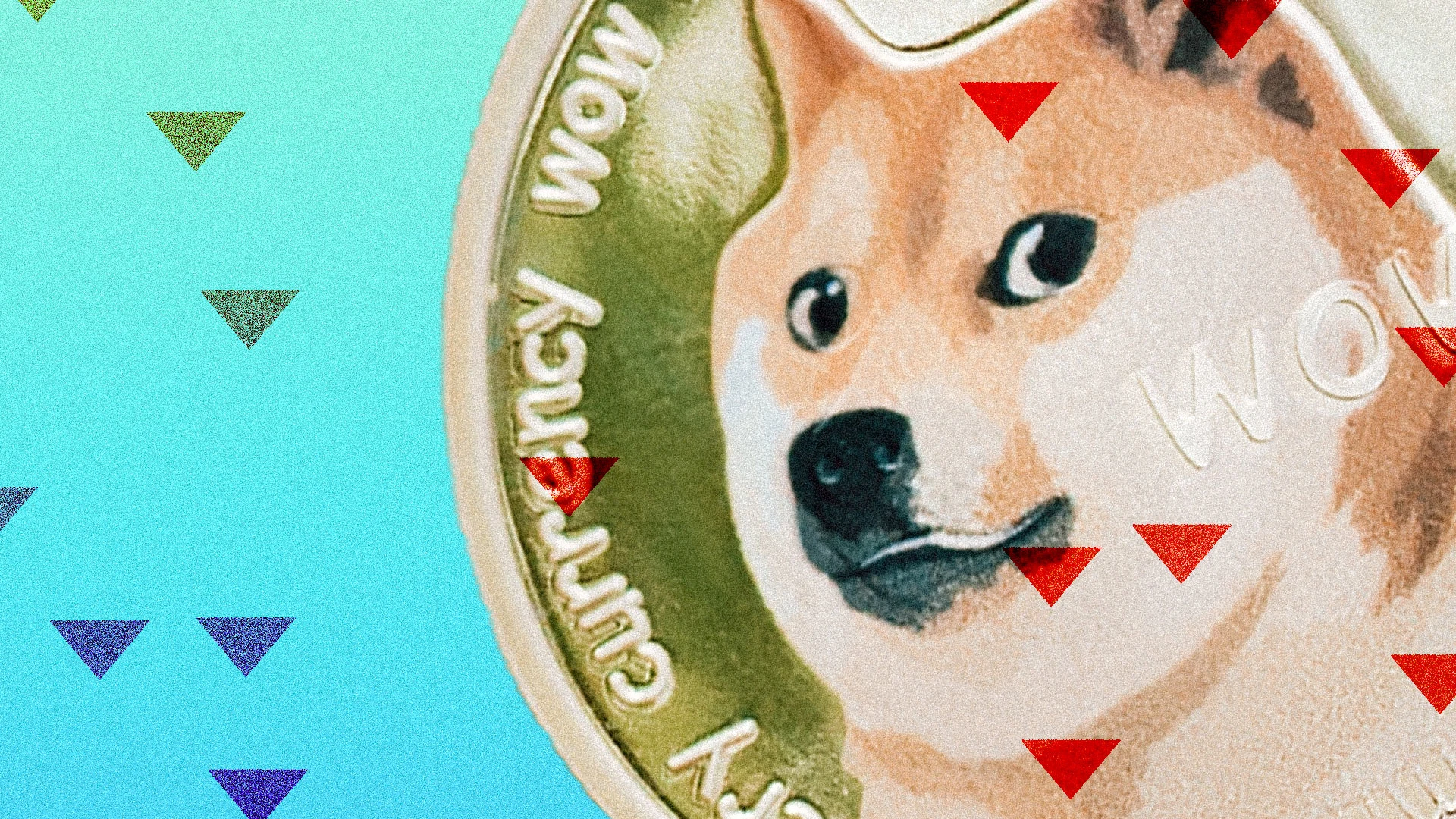 SHIB coin: Why is the Shiba Inu cryptocurrency crashing? - Fast Company