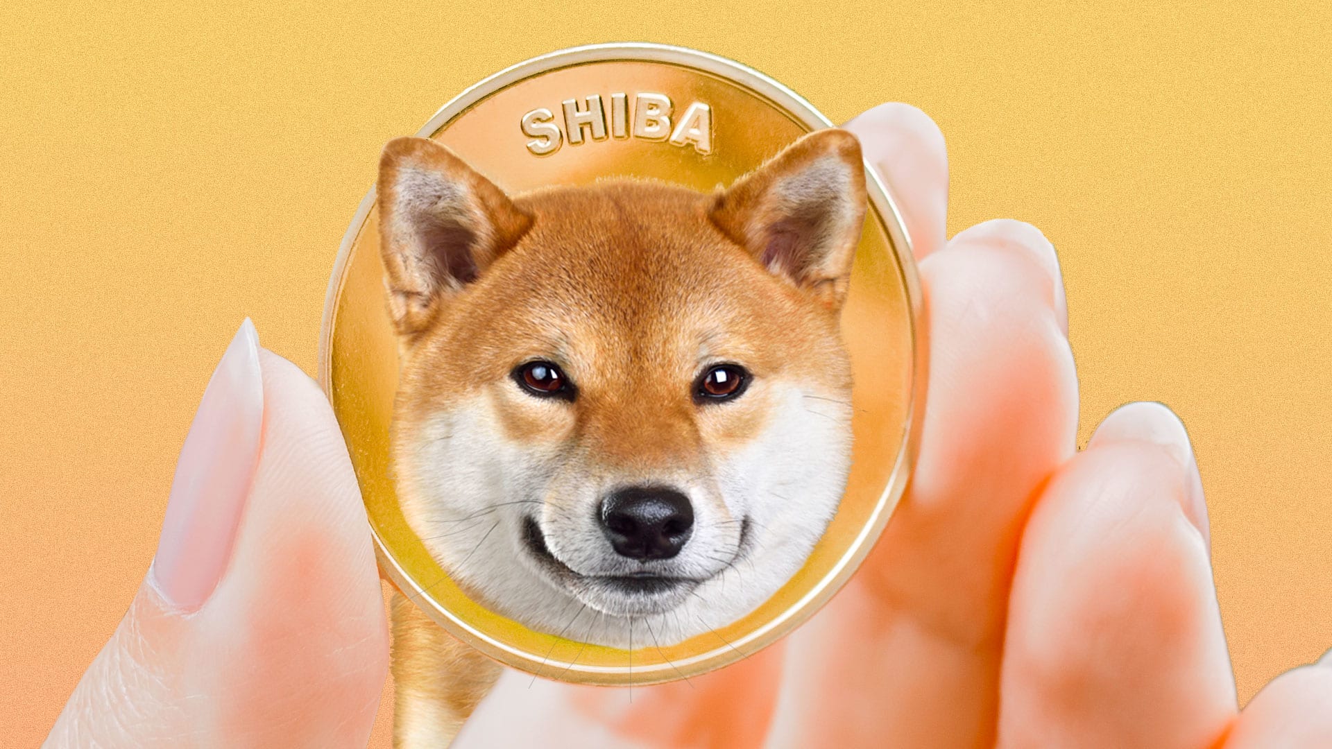 SHIB coin: why is the Shiba Inu cryptocurrency surging? - Fast Company