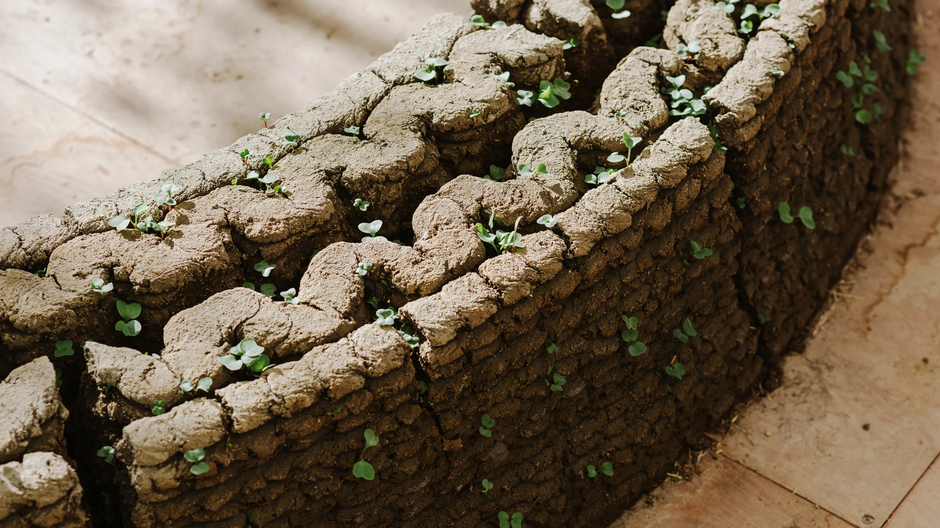 These 3D-printed dirt walls grow a garden when you water them - Fast Company