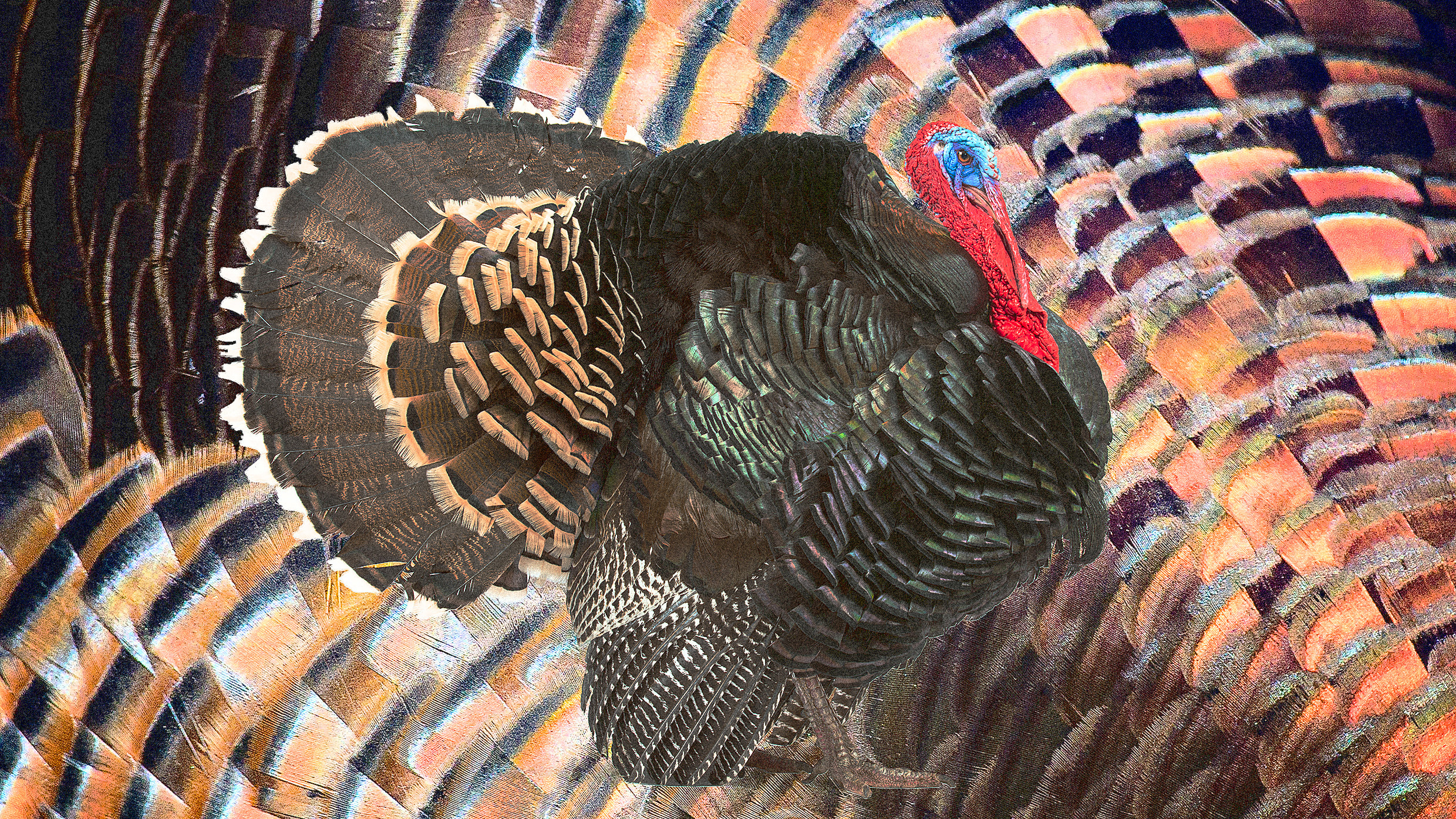 Porno filmda Bochkareva Natalya