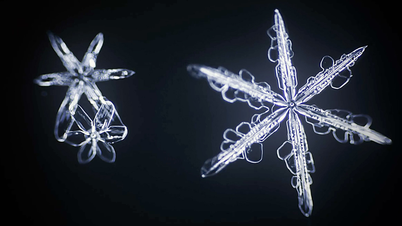 Watch It Amazing TimeLapse Footage Of Snowflakes Being Born Fast(01)
