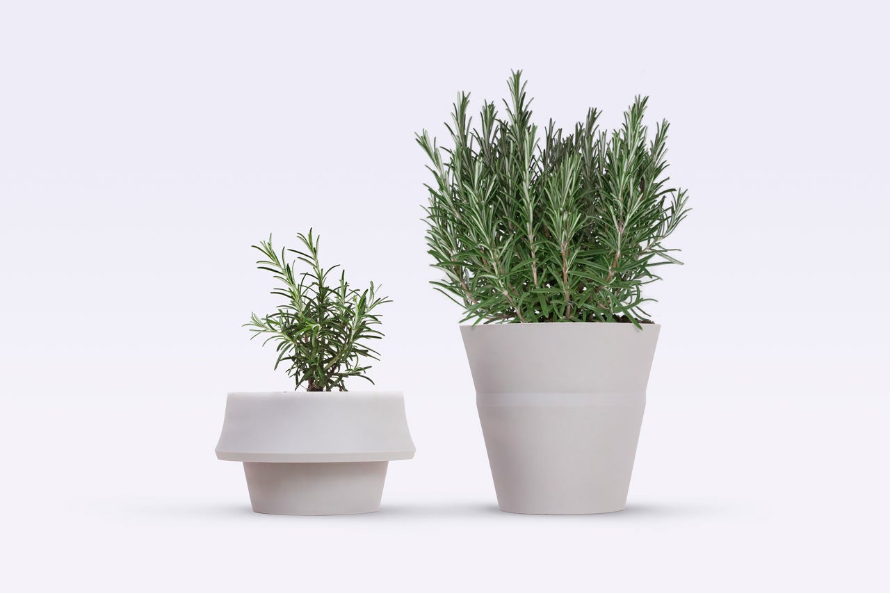 A Pot That Unfolds As Your Plant Grows - Fast Company