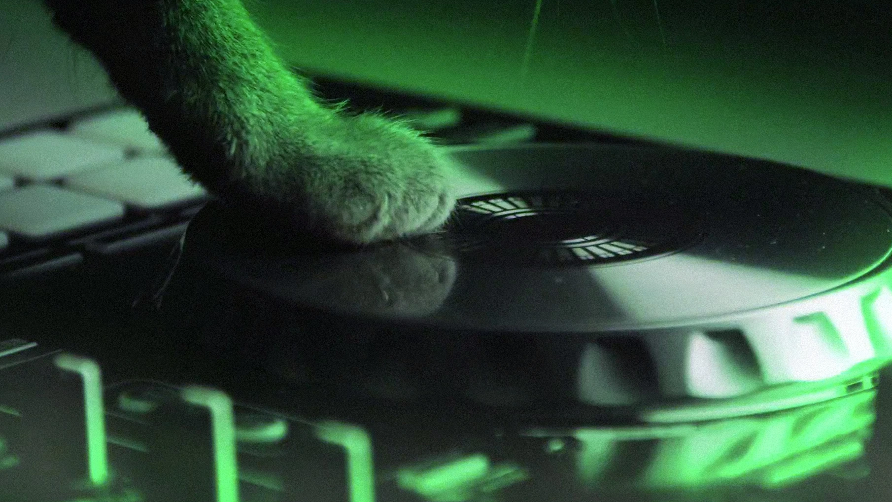 The Famous Meow Mix Song Gets An EDM Remix Fast Company