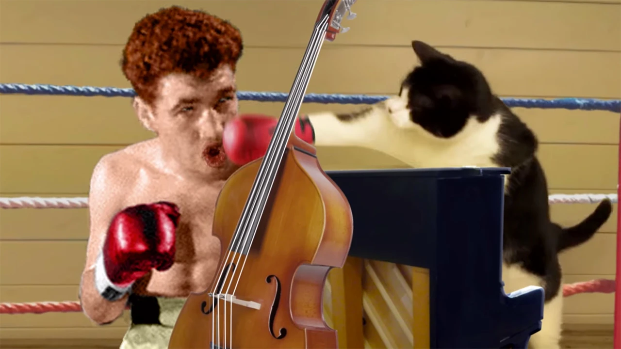 Boxing Cats Take On Toy Mice And Everything Else In New Temptations Spot -  Fast Company