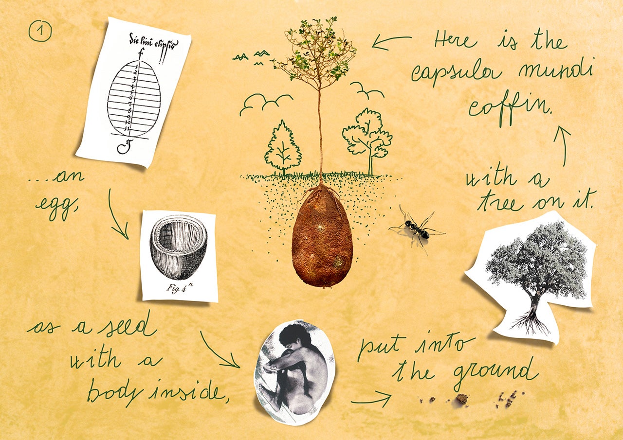 Biodegrading Corpse These Biodegradable Coffins Will Turn Cemeteries Into Forests - Fast ...