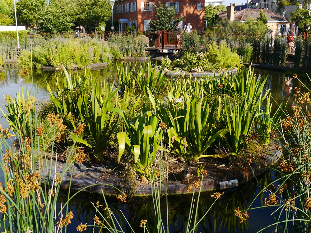 These Floating Islands Aren't Real-But They Are Cleaning Up Rivers ...