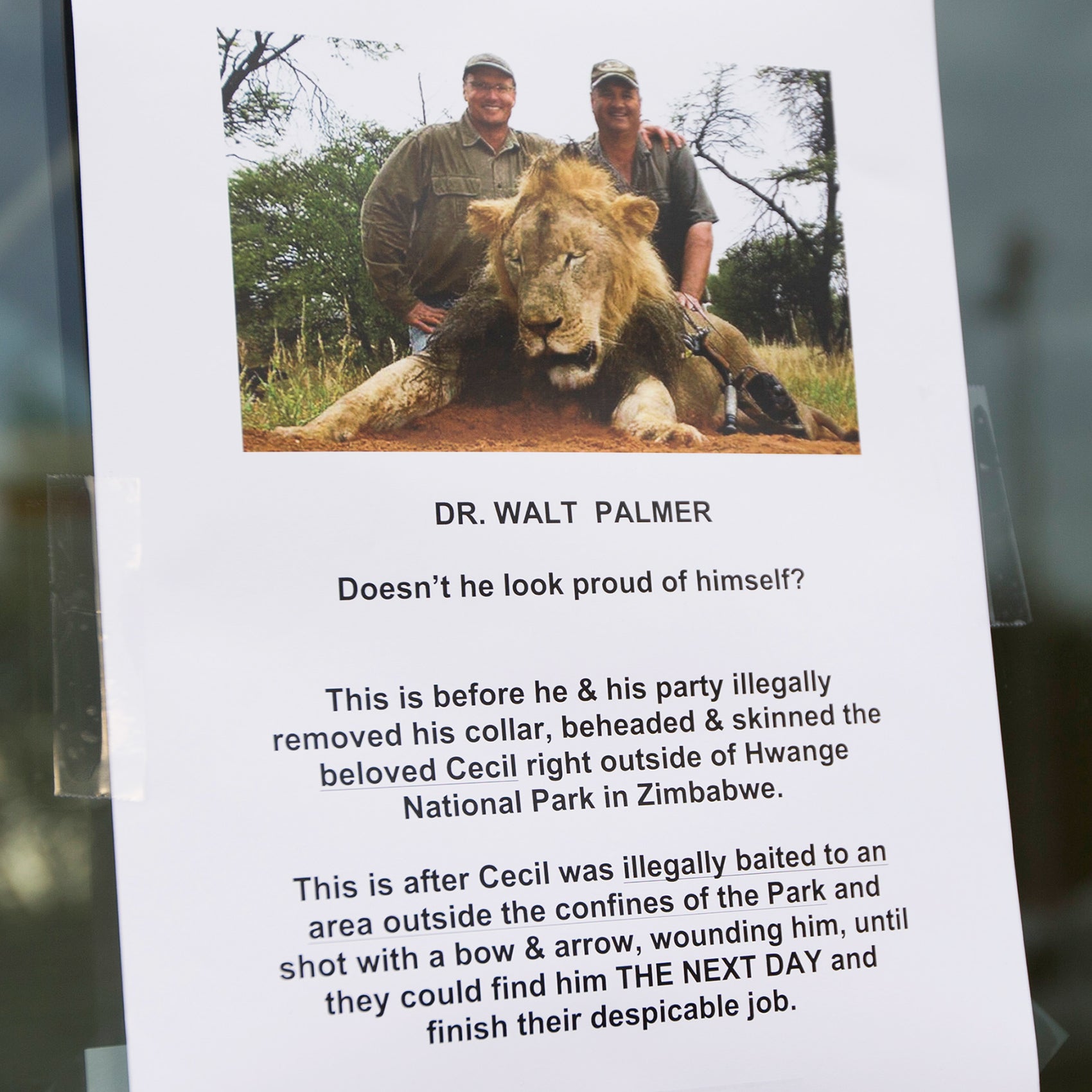 Abercrombie & Kent’s Geoffrey Kent on Cecil the Lion’s legacy - Fast ...