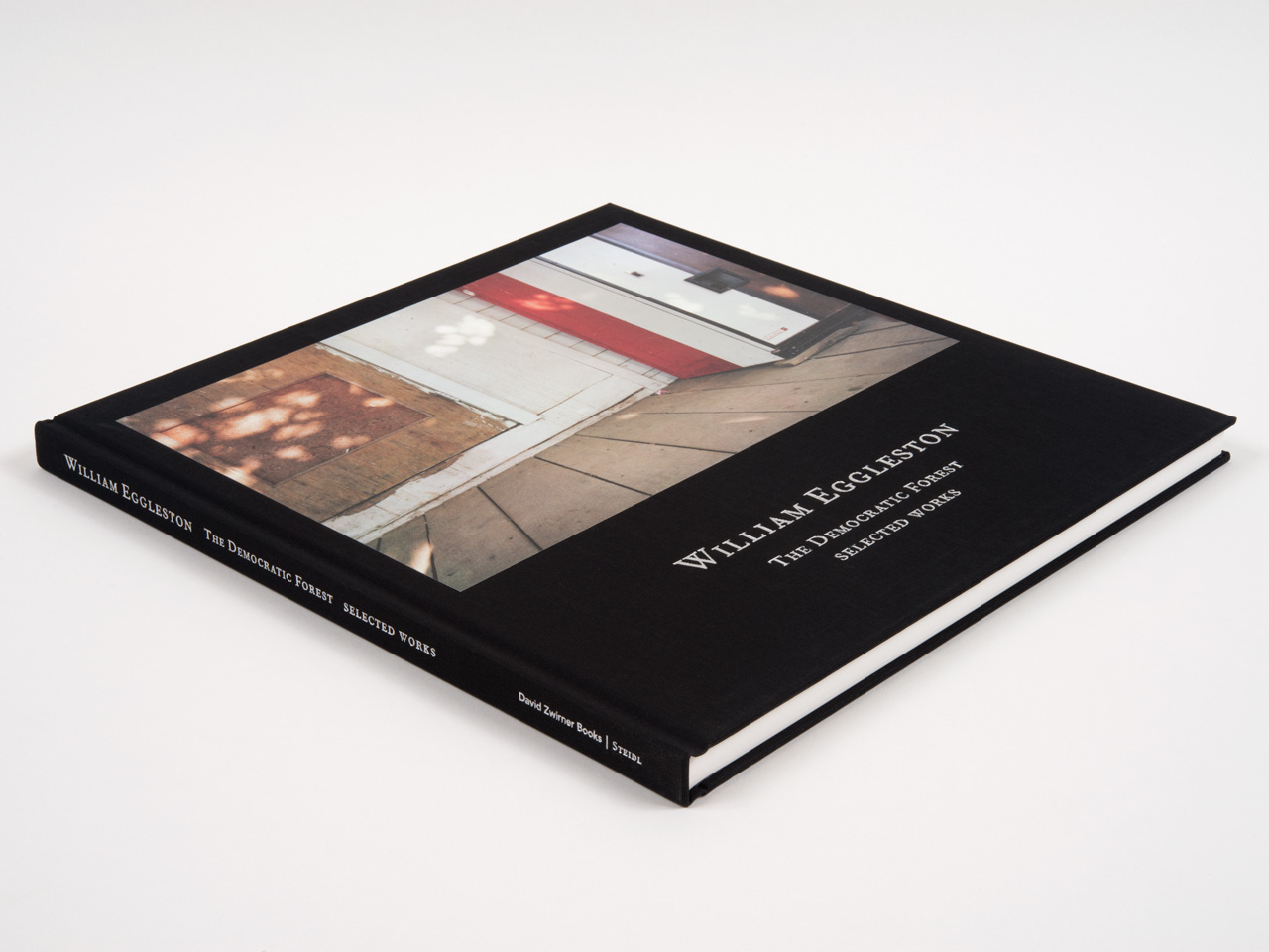 Amazon.com: William Eggleston: Democratic Camera