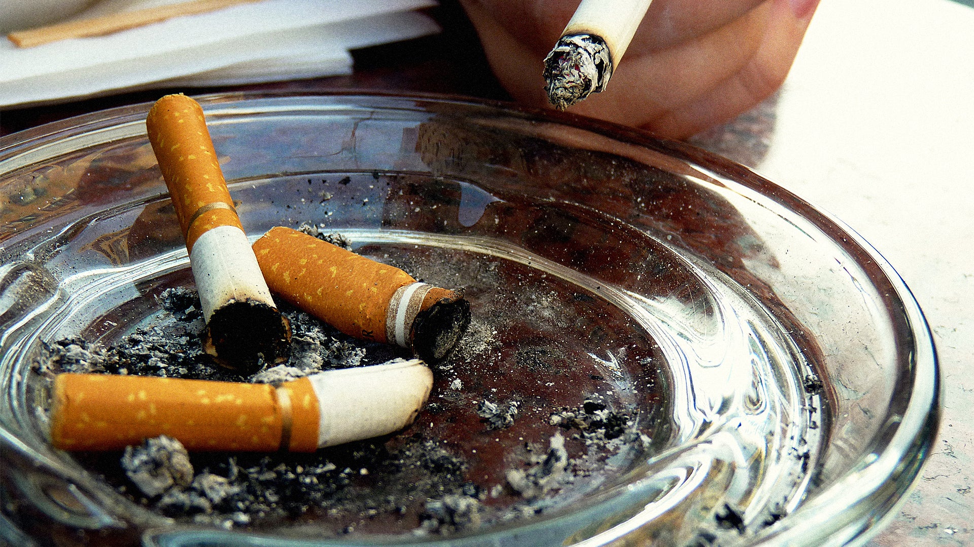 make a cigarette Studio Shot Hands That Making Cigarettes Stock Photo 257102308