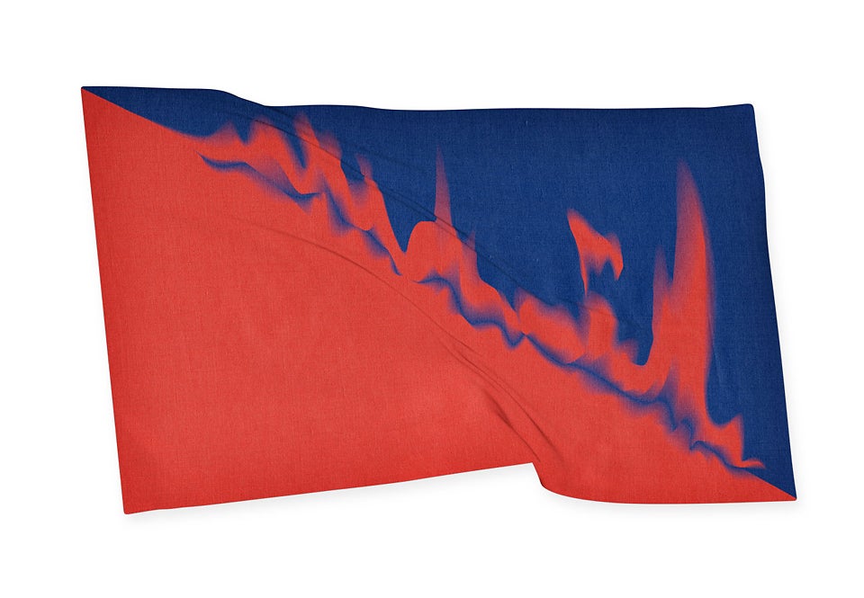 New Glory: 16 Artists Invent Flags For A Globalized World - Fast Company