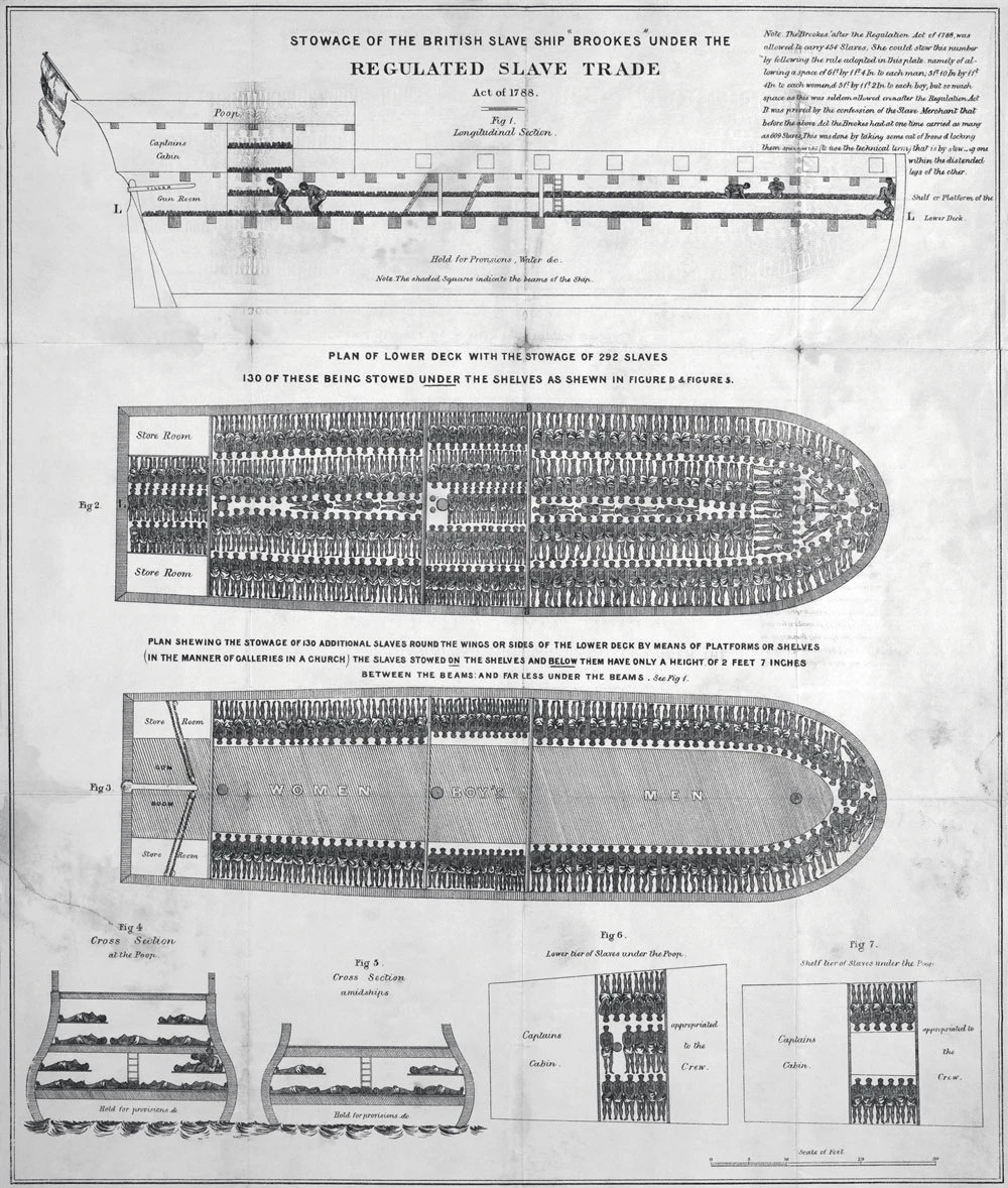 Infographic: The Slave-Ship Chart That Kindled The Abolitionist Movement -  Fast Company