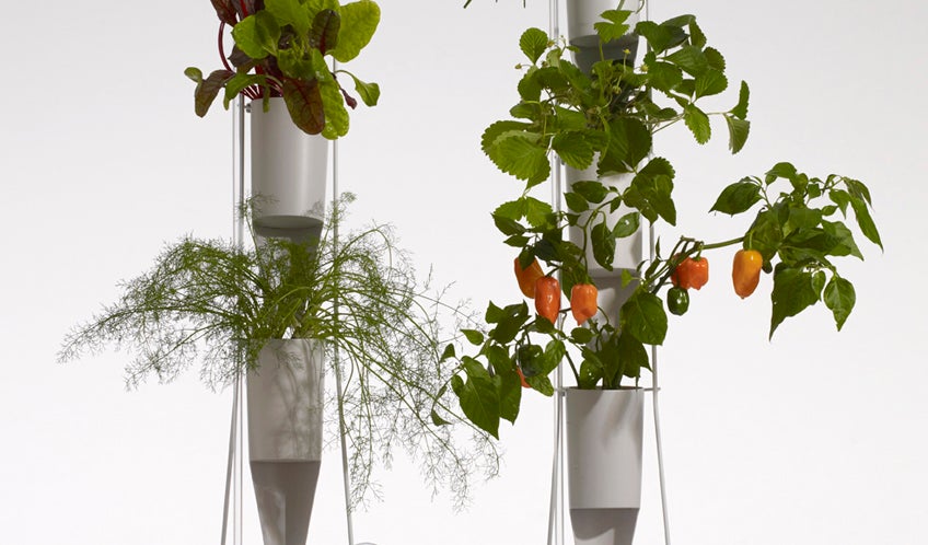 Window Farm Gi Wanted: The First Windowfarm Kit, From A Pioneer In Micro Gardening ...