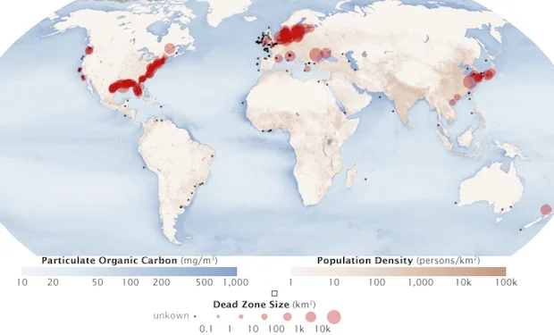 Dead Zone Deconfusinator: Oil Not the Only Problem in Gulf of Mexico ...