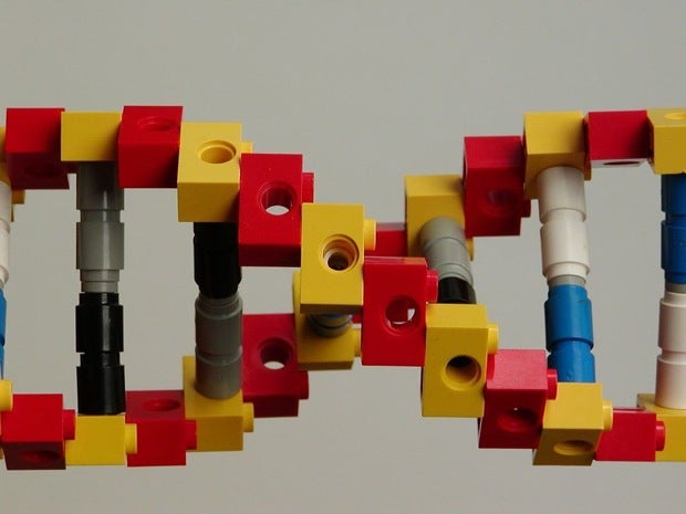 Lego Genetics The $10 Million Genomics X Prize Will Make Genetic Sequencing Fast ...