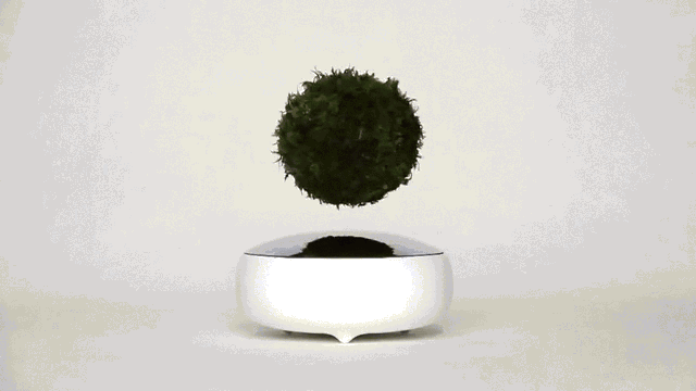 A Floating Bonsai Tree That Defies Gravity With Magnets - Fast Company