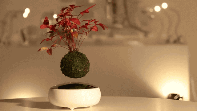 faux green plant Fake Ficus Plant 5ft Artificial Tree Retail Store Window Display Decor   Jamali Garden