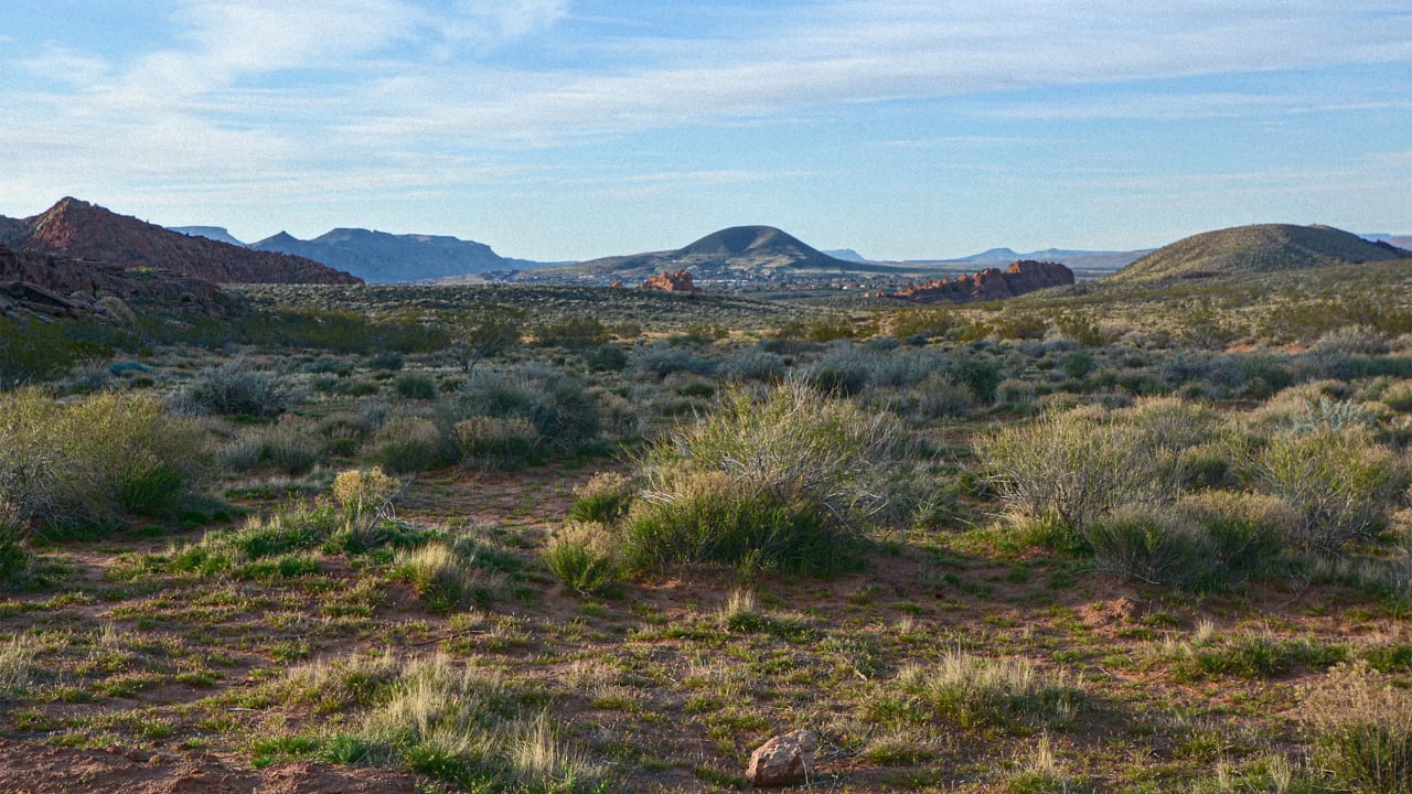 Utah wants to build a highway through a tortoise habitat