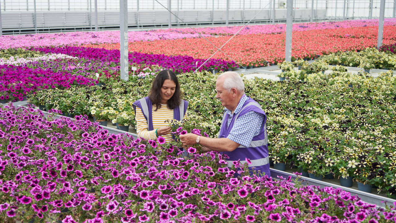 The floral scent of your body wash is likely made from chemicals. This pilot is trying it with flowers instead