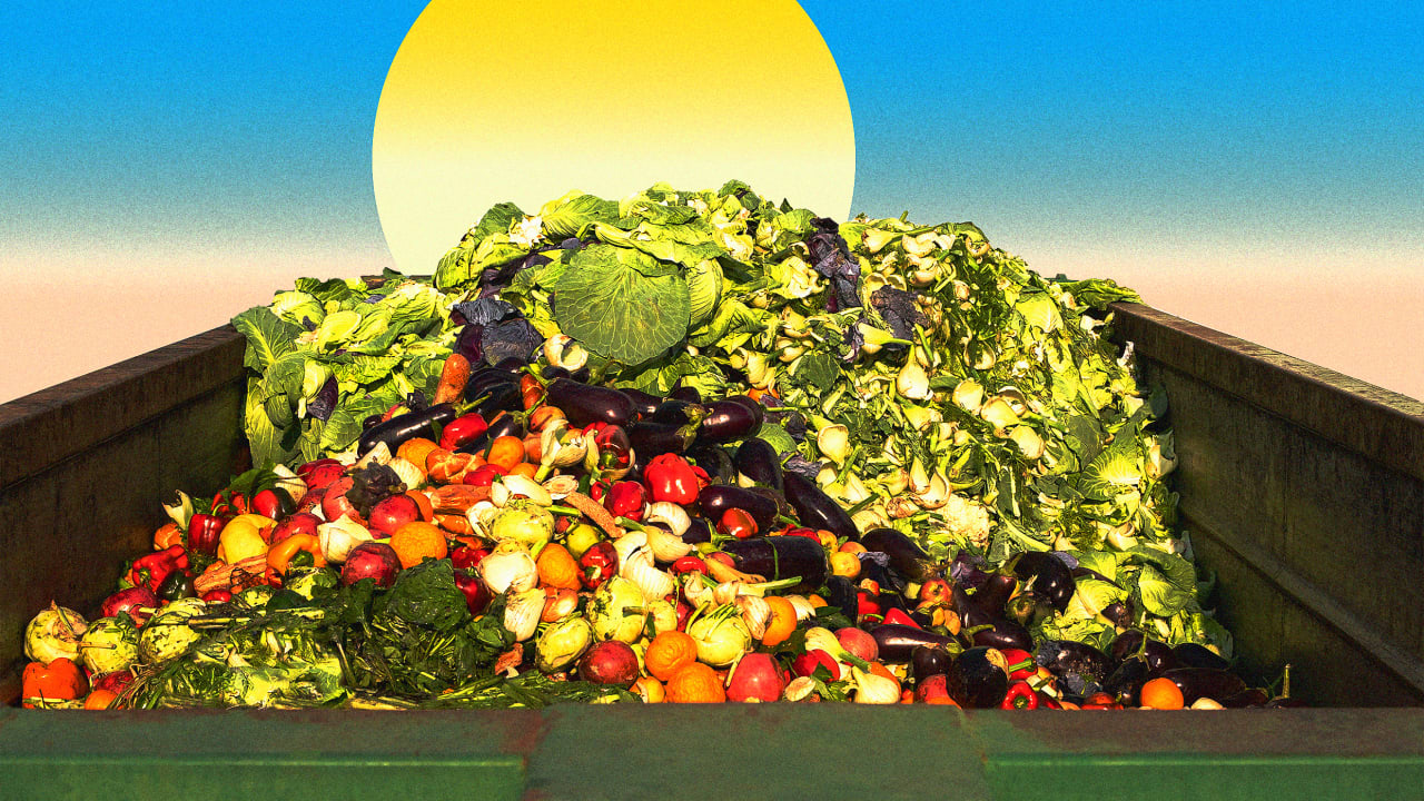 Why food waste bans have totally failed—except in Massachusetts