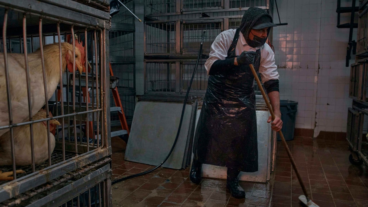 NYC shuts down live poultry markets over bird flu outbreak