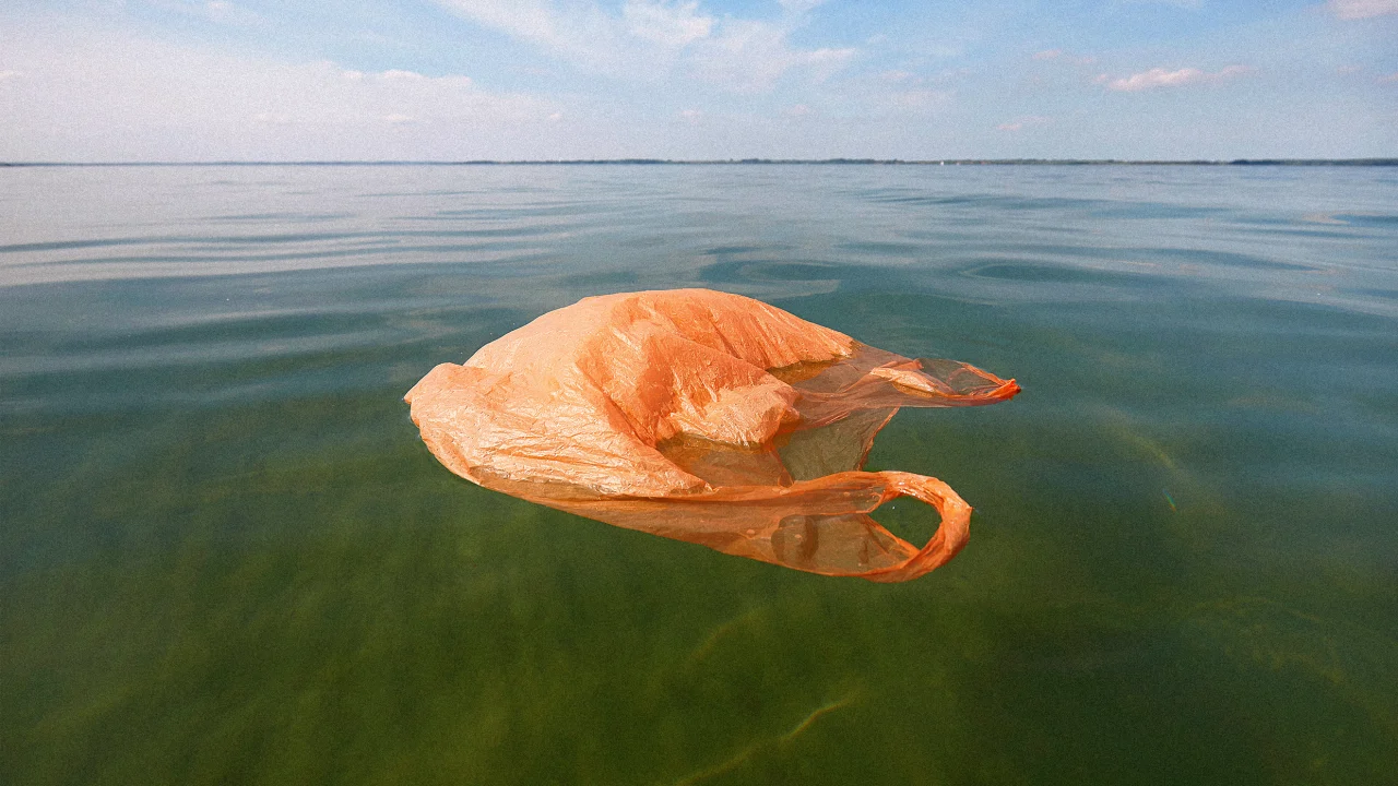 Thanks to bans and fees, there are fewer plastic bags littering beaches