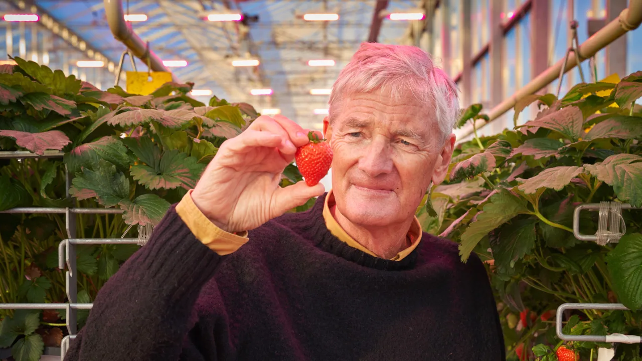 Why James Dyson got into vertical farming