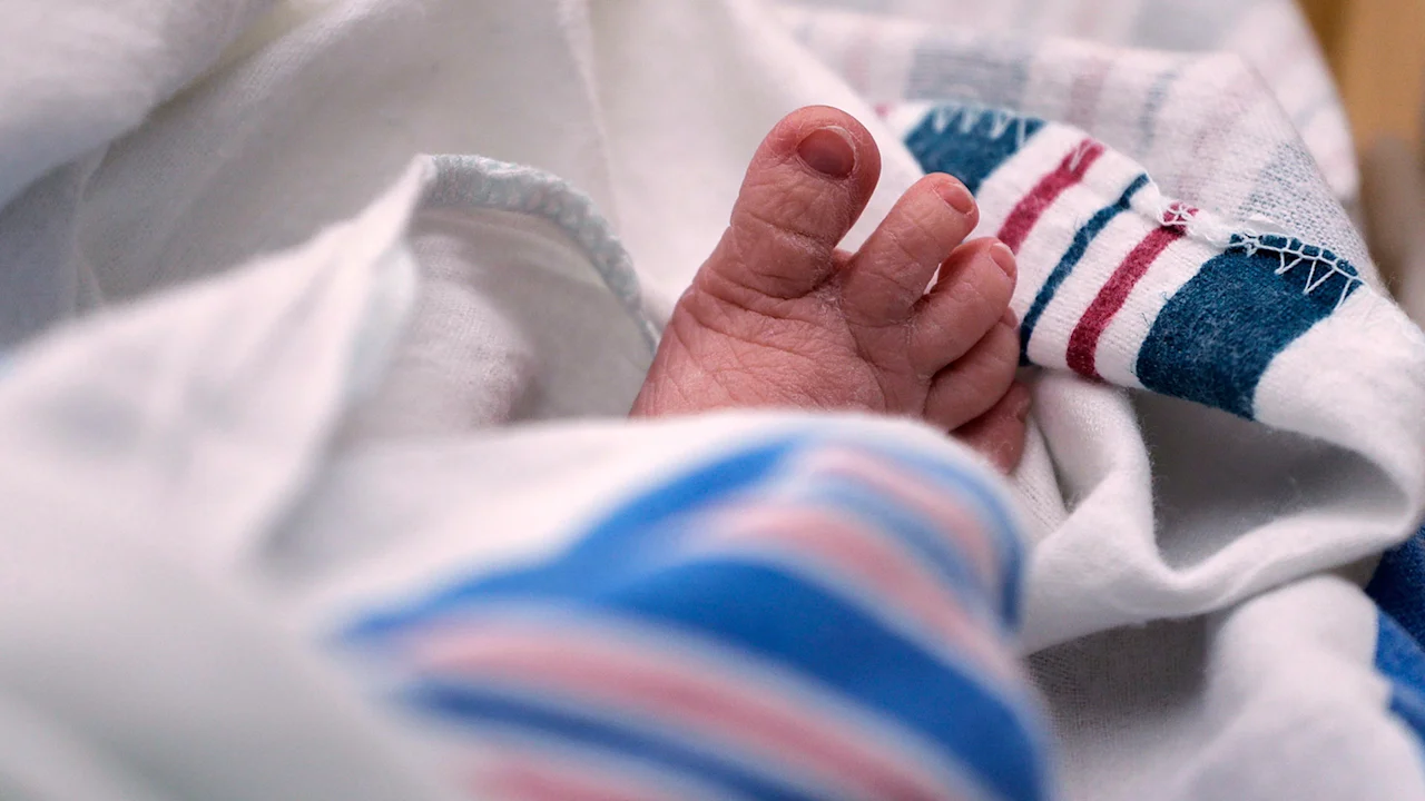 Newly released CDC data shows U.S. fertility rate reached a new low in 2024