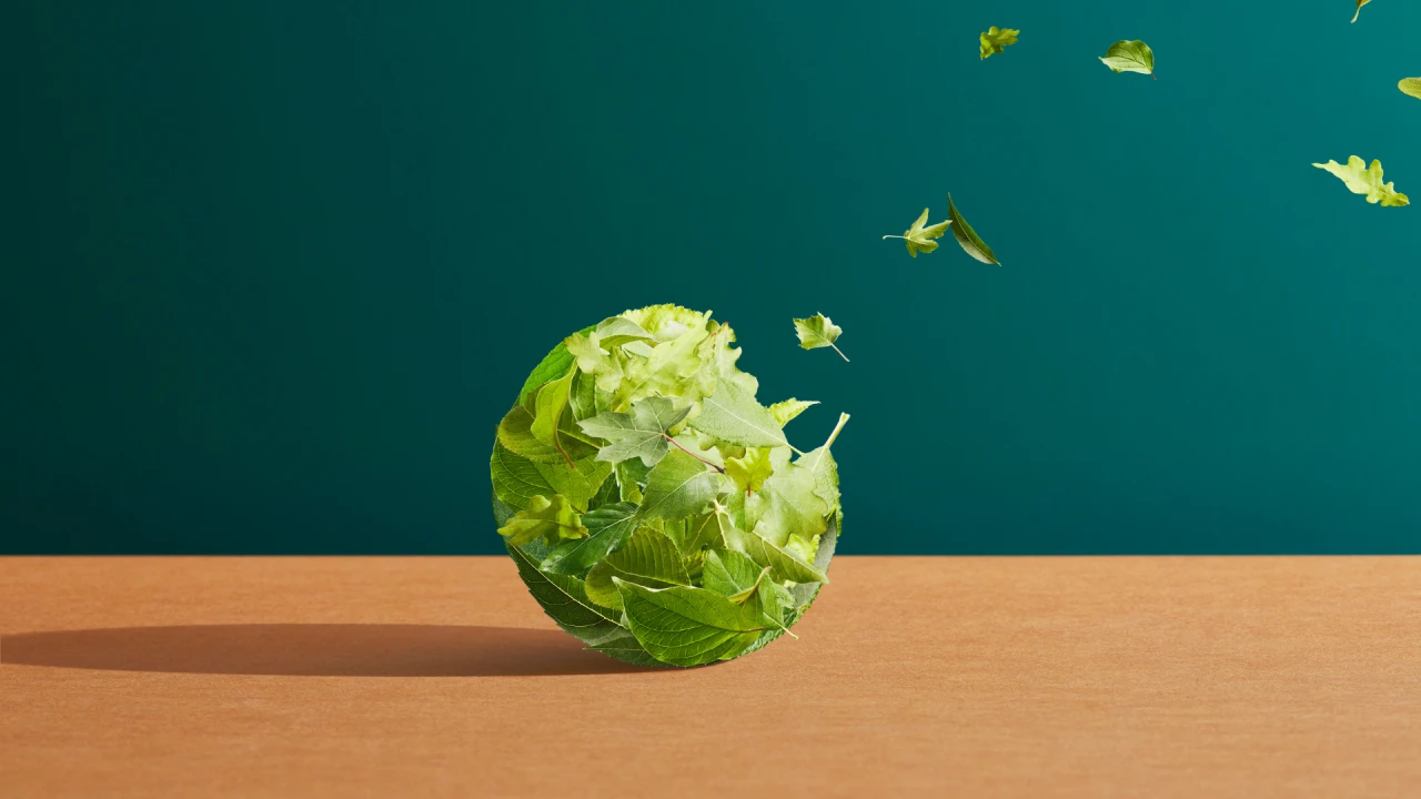 A focus on sustainability’s return on investment