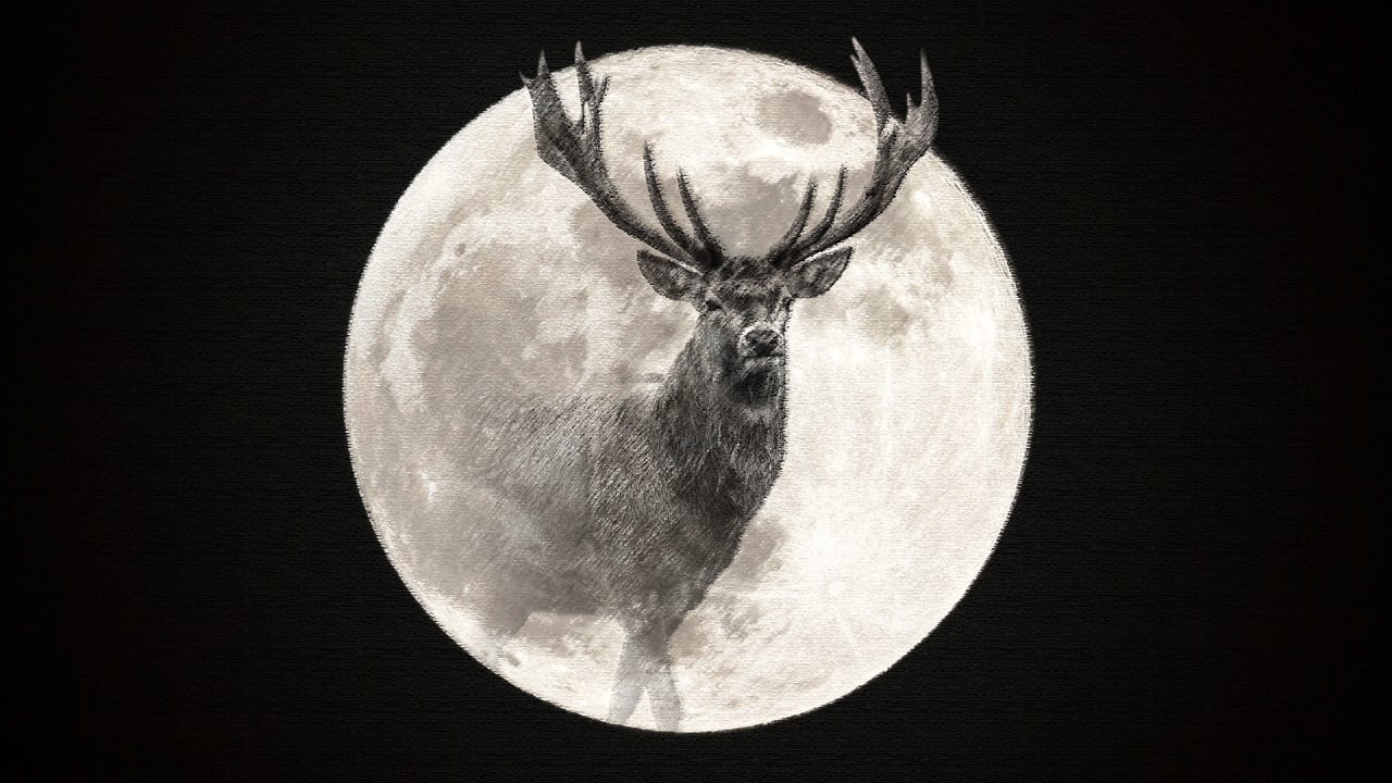 Full moon July 2025: Why is it called the ‘Buck Moon’ and when is the best time to see it?
