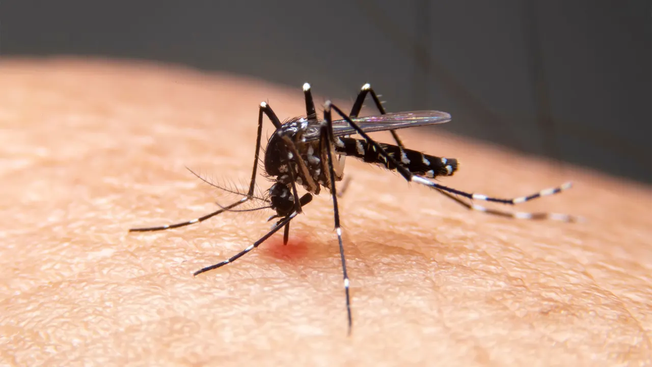 Finally: A malaria drug made just for babies has been approved – here’s why it matters