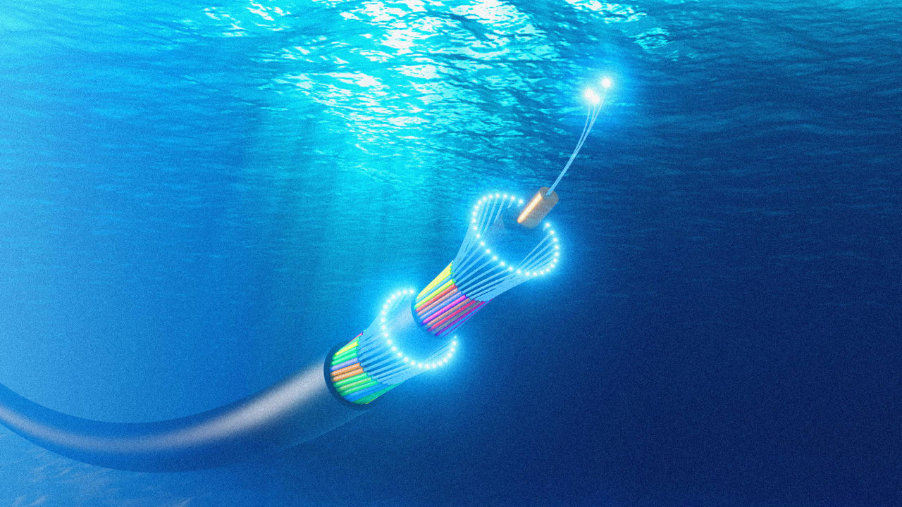 The CEO of Ciena on how AI is fueling a global subsea cable boom