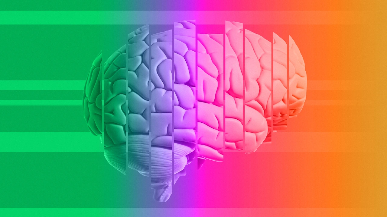 The hidden cost of mental switching
