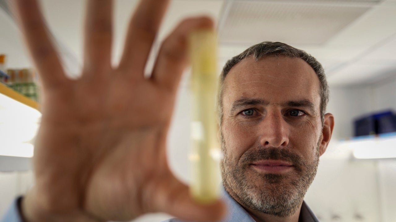 This phytoplankton species at the base of the marine food web may not survive in warmer waters