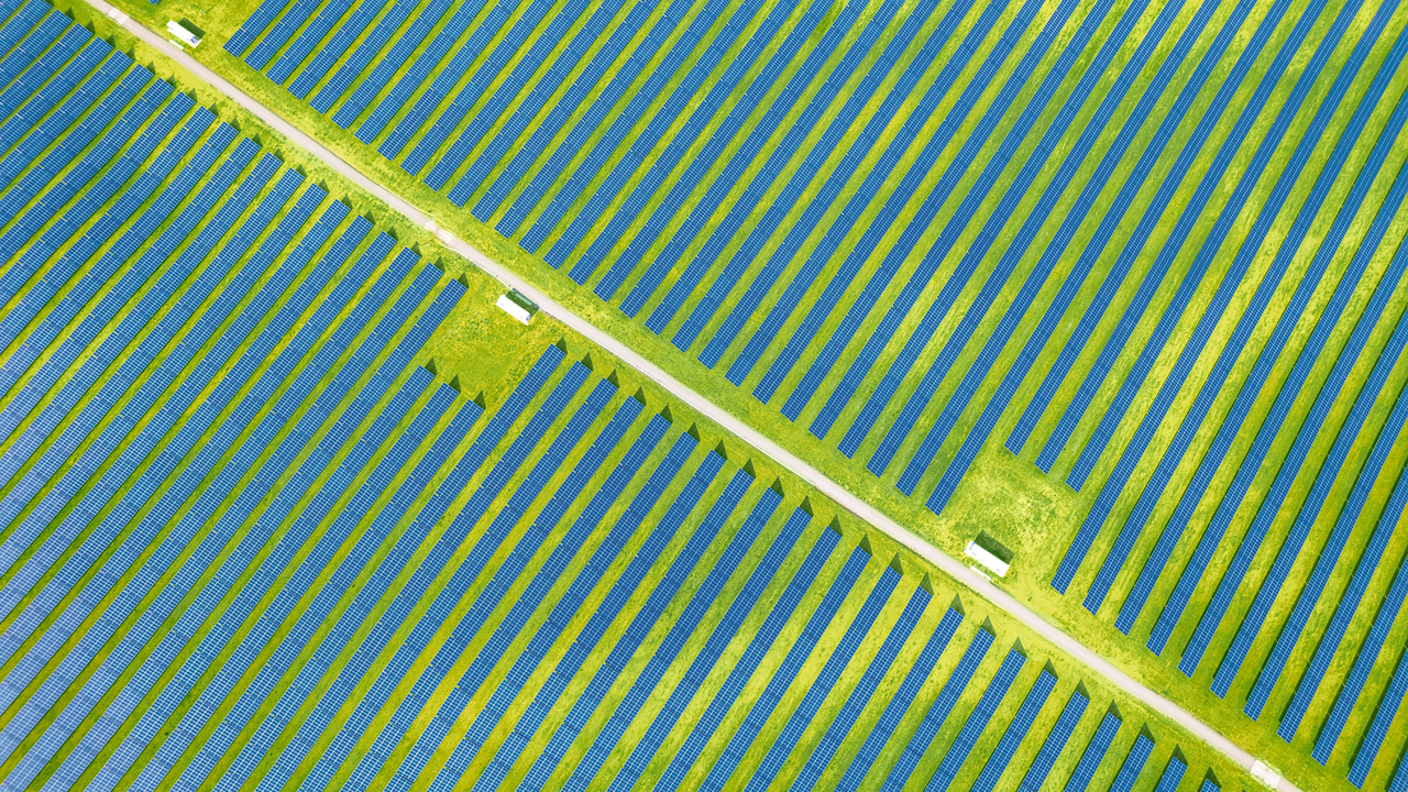 New demand for familiar crops fuels innovation
