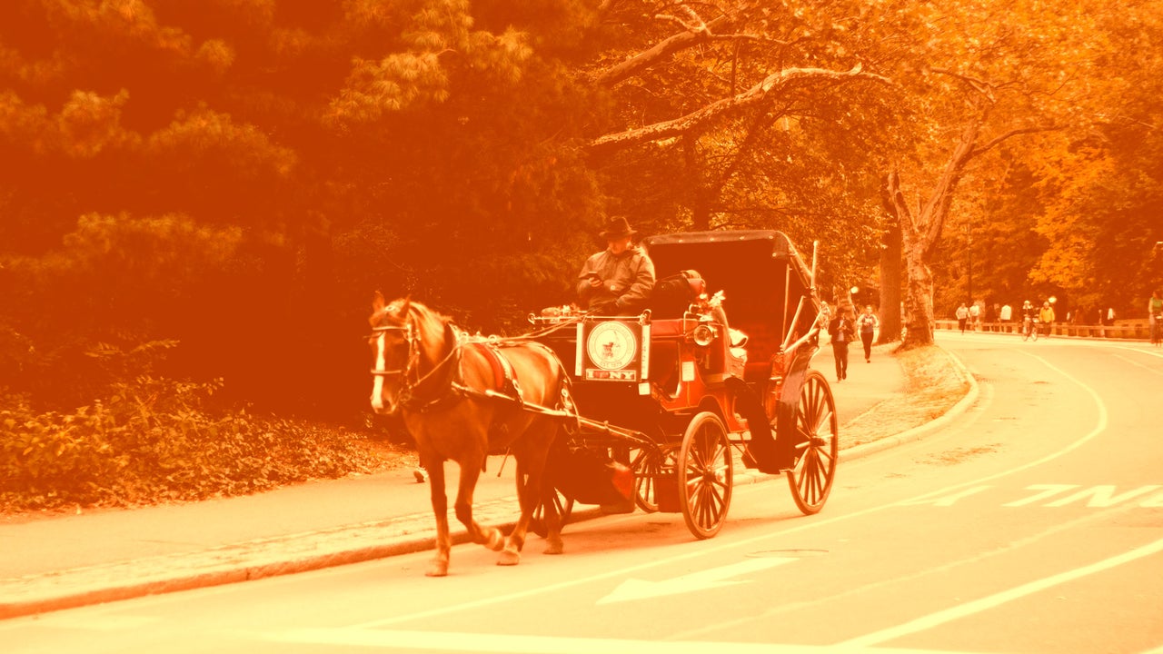 ‘The horse guys hate to see me coming’: Viral TikTokers are taking on Central Park’s horse-drawn carriages ‘The horse guys hate to see me coming’: Viral TikTokers are taking on Central Park’s horse-drawn carriages