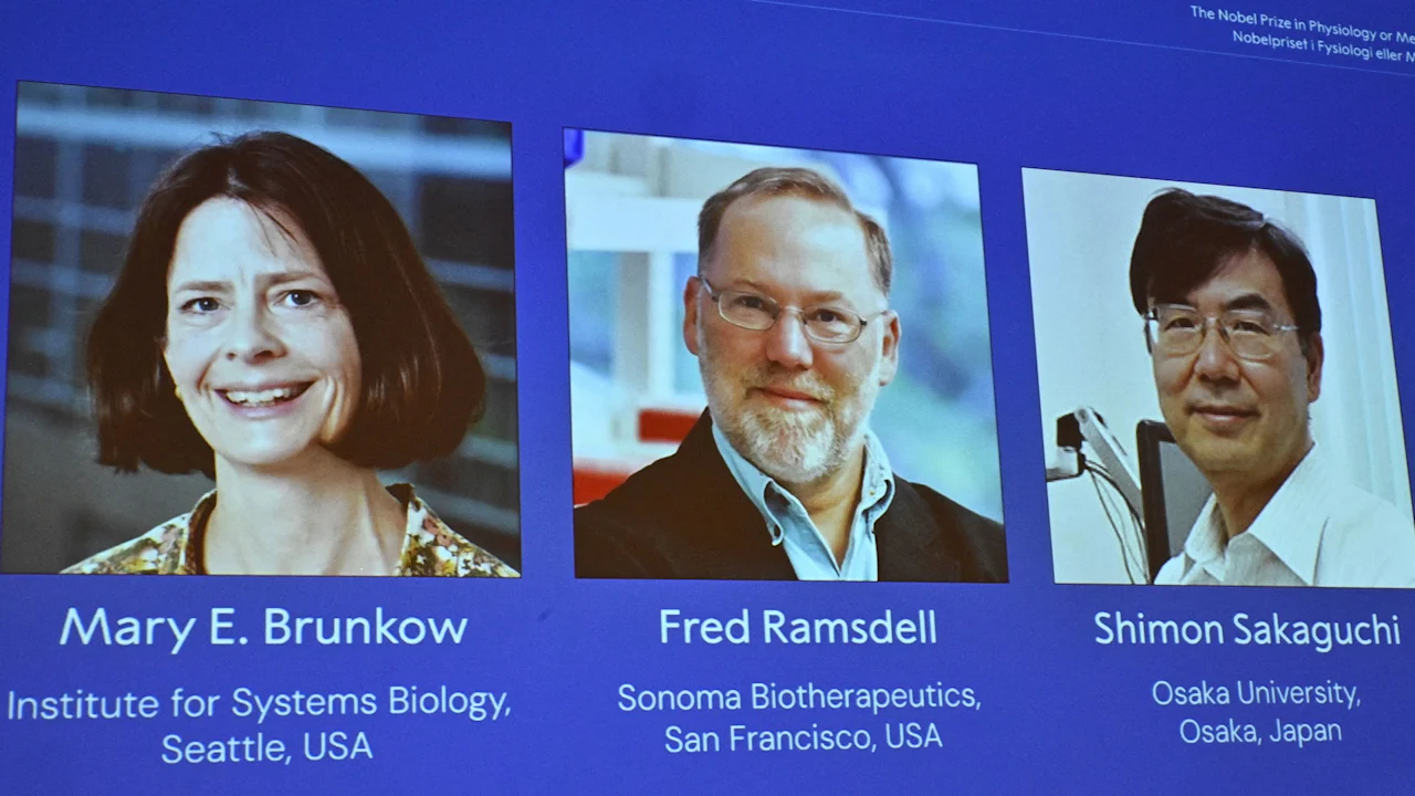 2025 Nobel Prize in Medicine paves way for possible new cancer treatments thumbnail