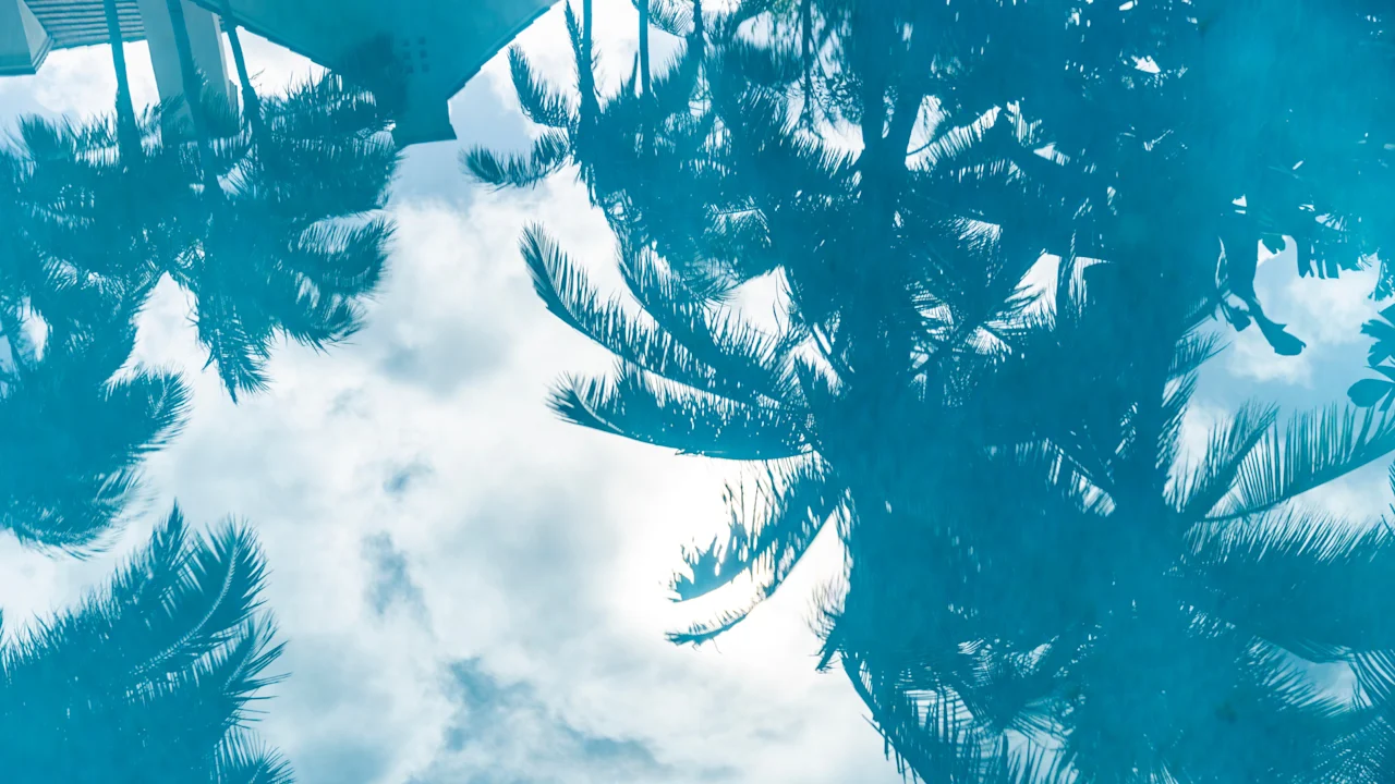 The new luxury is reconnecting with nature thumbnail