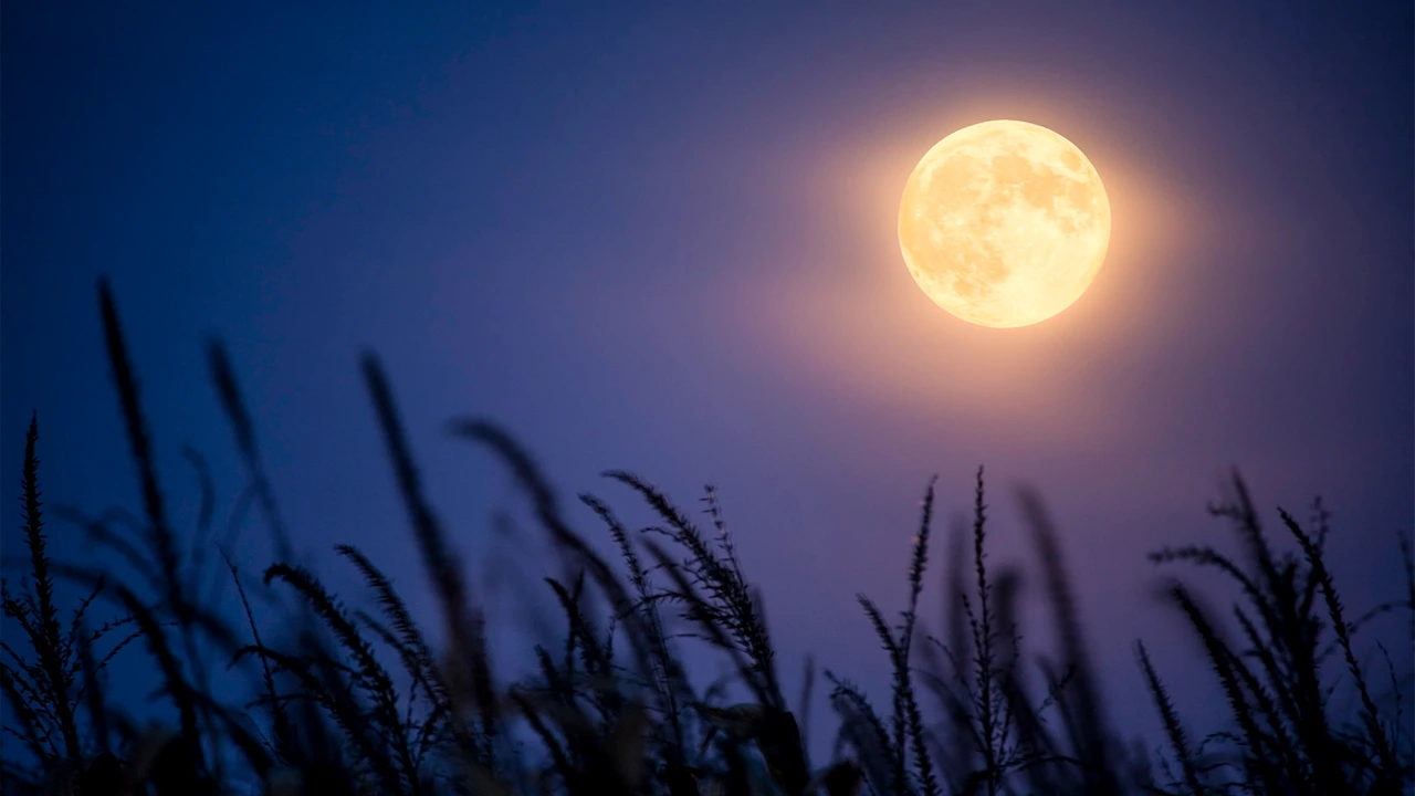 Tonight’s October full moon will also be a harvest supermoon: Here’s what it means and the best time to see it thumbnail