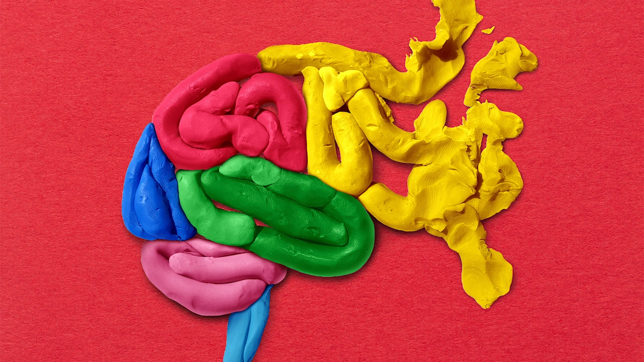 La forma en que el cerebro de los niños puede aprender es moldear las redes sociales, y no hay nada mejor que eso. La forma en que el cerebro de los niños puede aprender es moldear las redes sociales, y no hay nada mejor que eso.