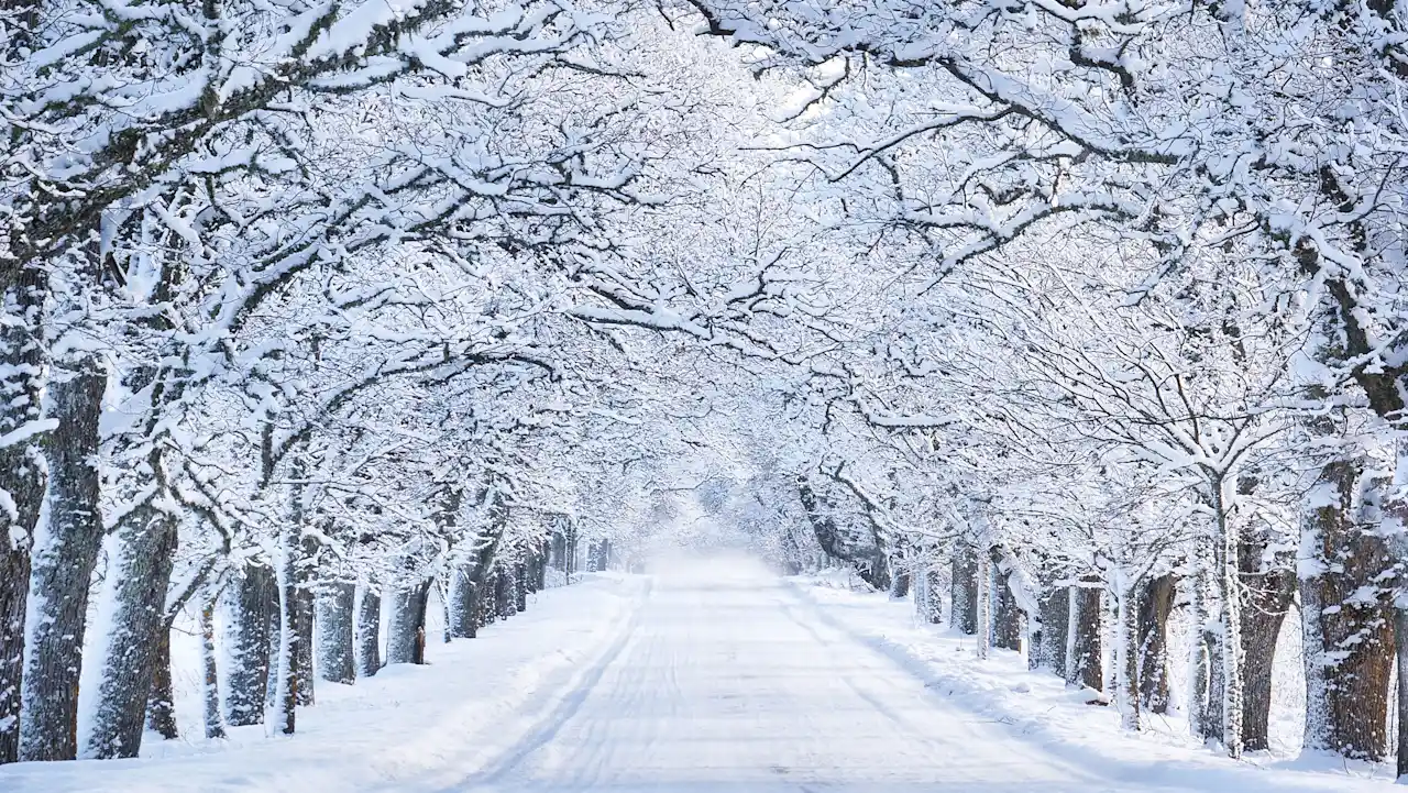 Het gevaar van het geloven in zakelijke mythen